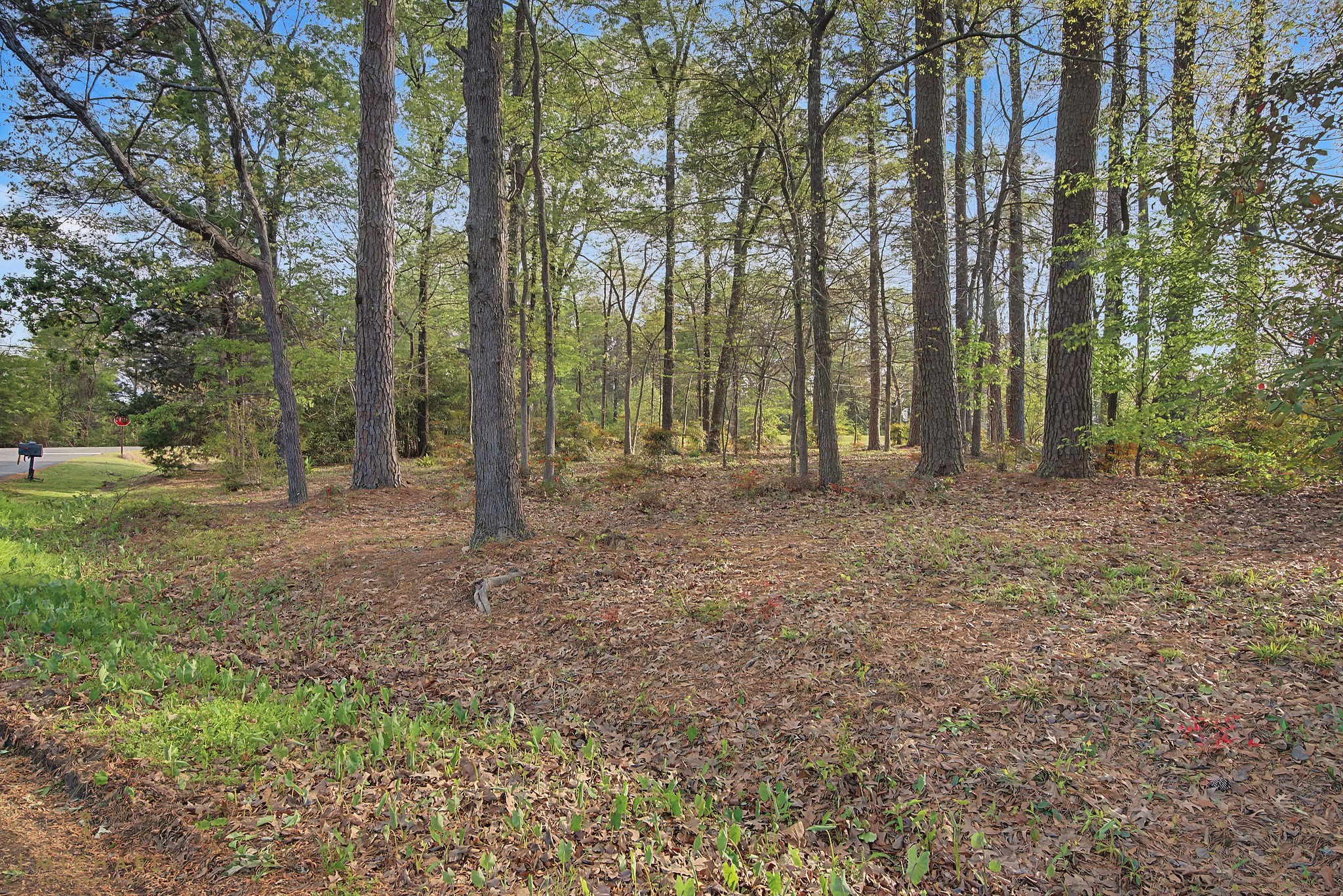 2700 Rhoda Drive Shreveport LA 71119