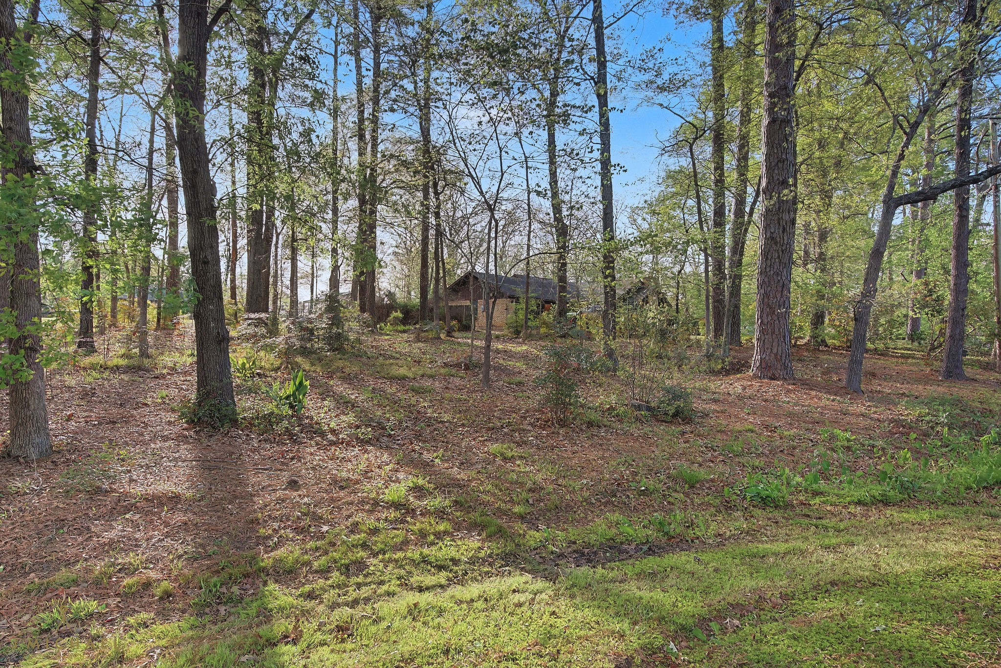 2700 Rhoda Drive Shreveport LA 71119