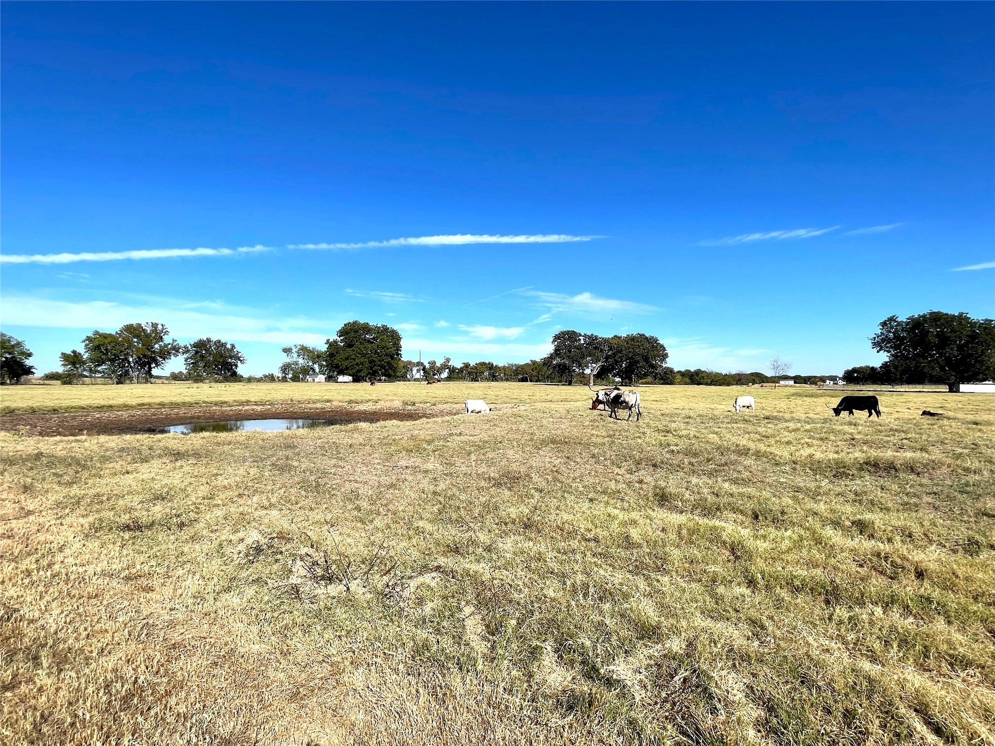 Phase 2 Lot 9 William Brewer Road Tioga TX 76721