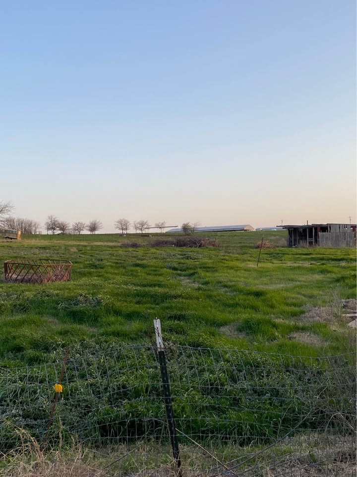 235 Hilltop Trail New Fairview TX 76078