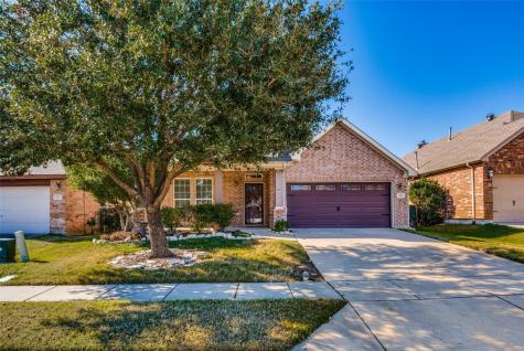 408 Turnstone Drive Little Elm TX 75068