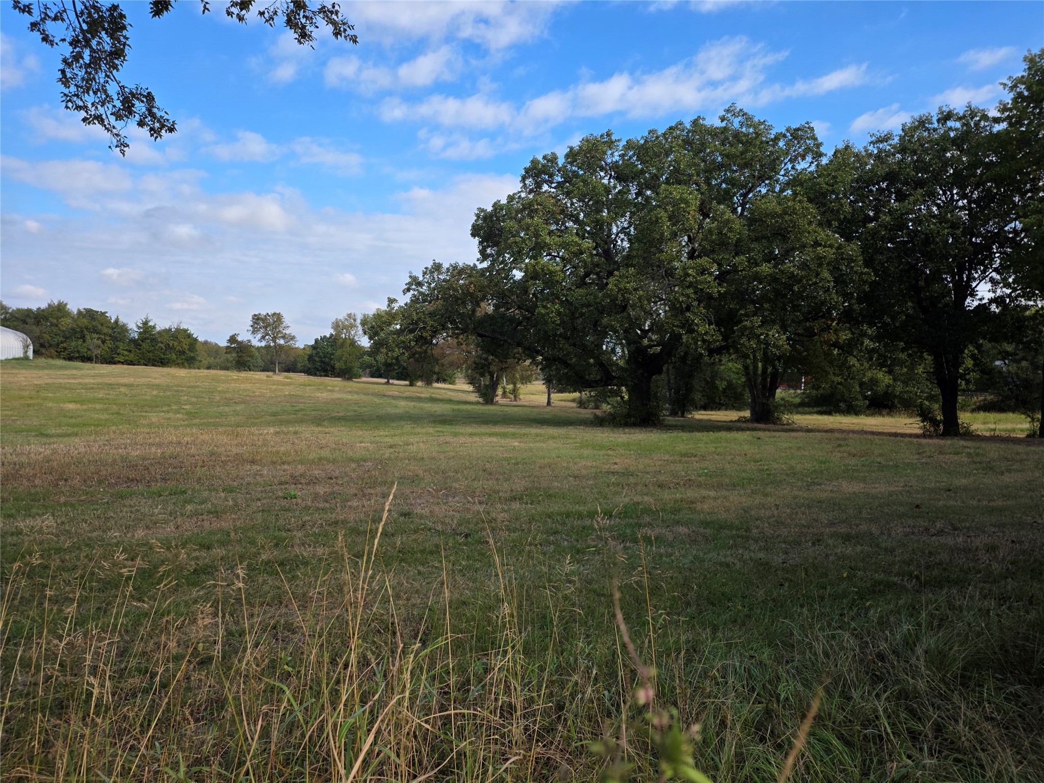 3830 County Road 4040 Whitewright TX 75491