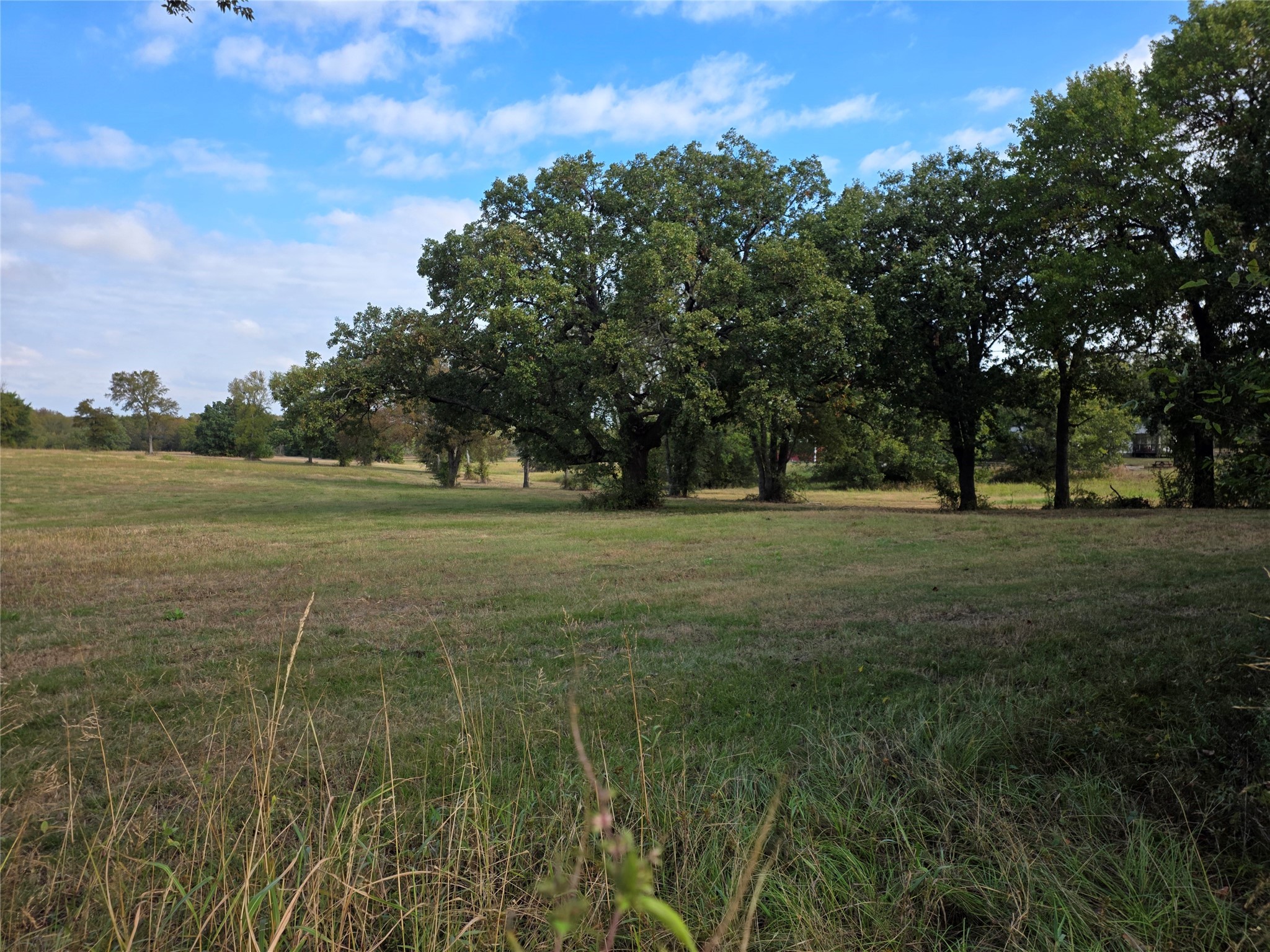 3830 County Road 4040 Whitewright TX 75491