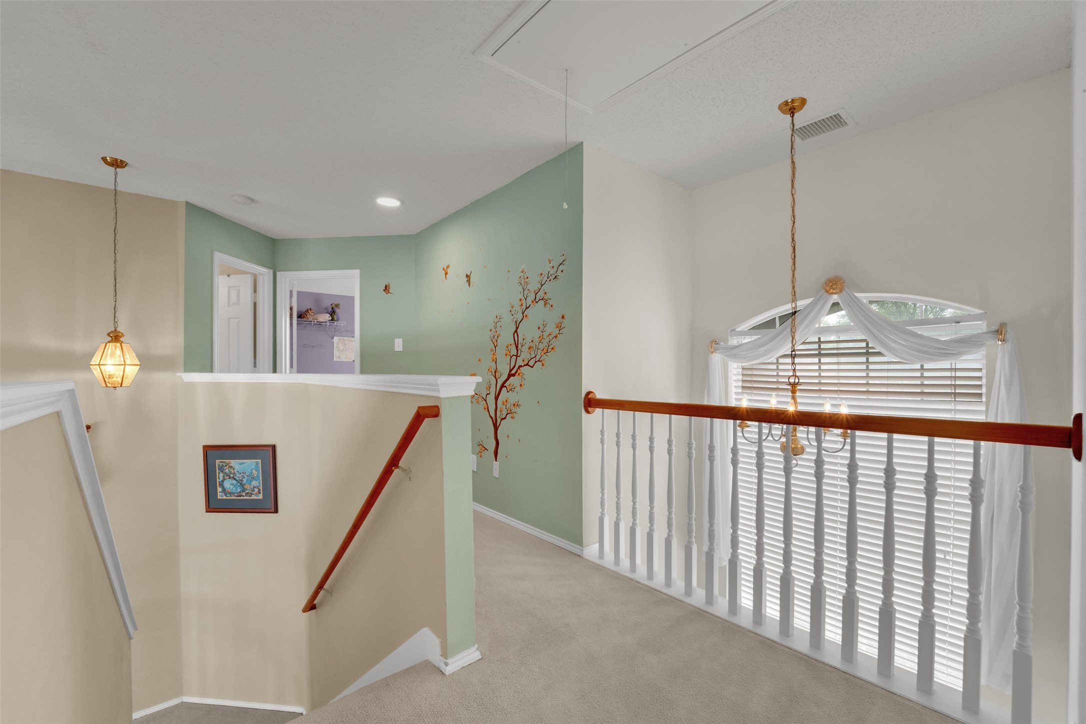 1119 Shady Oaks Court Allen TX 75002
