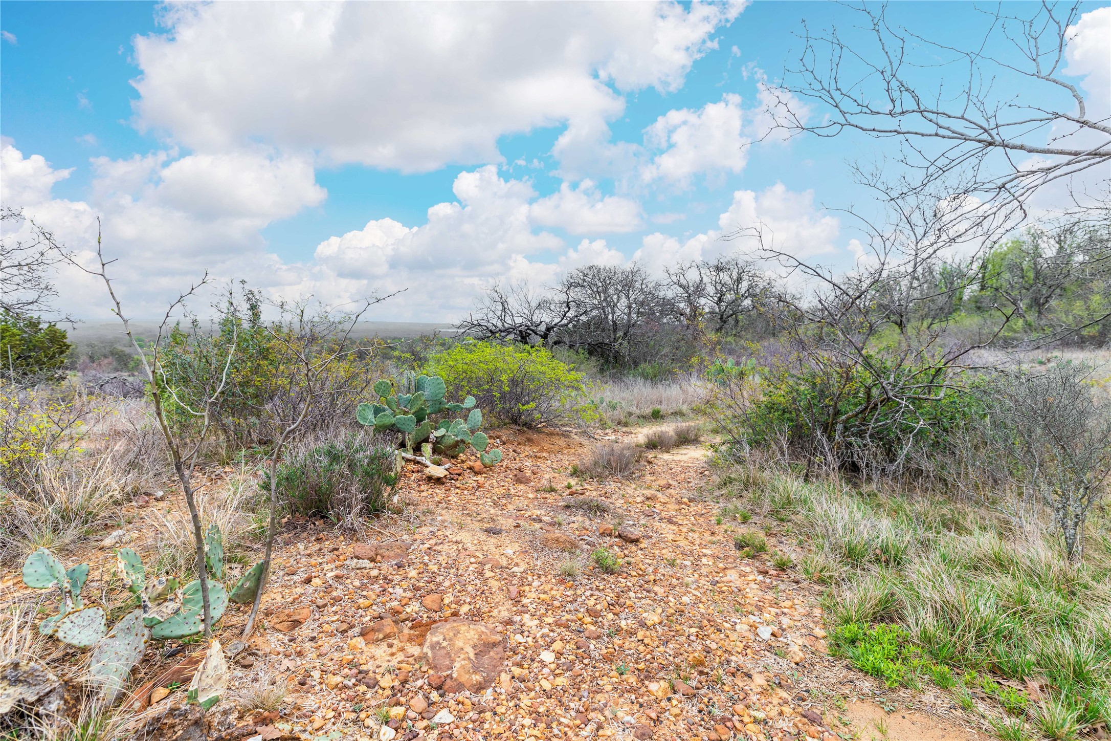 8851 Cr 133 Brownwood TX 76801