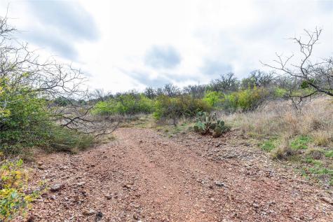 8851 Cr 133 Brownwood TX 76801