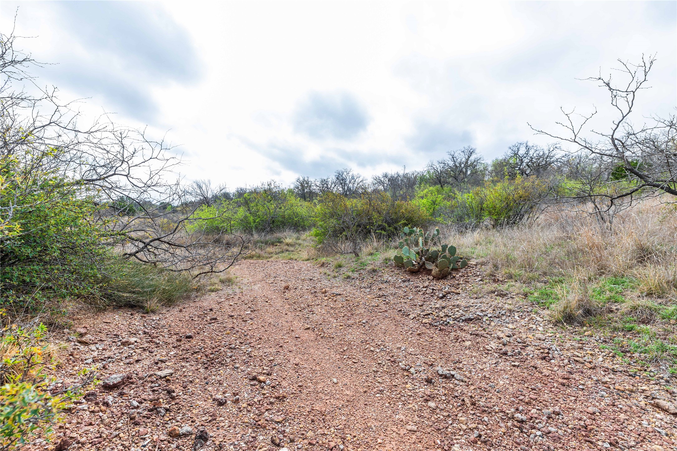 8851 Cr 133 Brownwood TX 76801