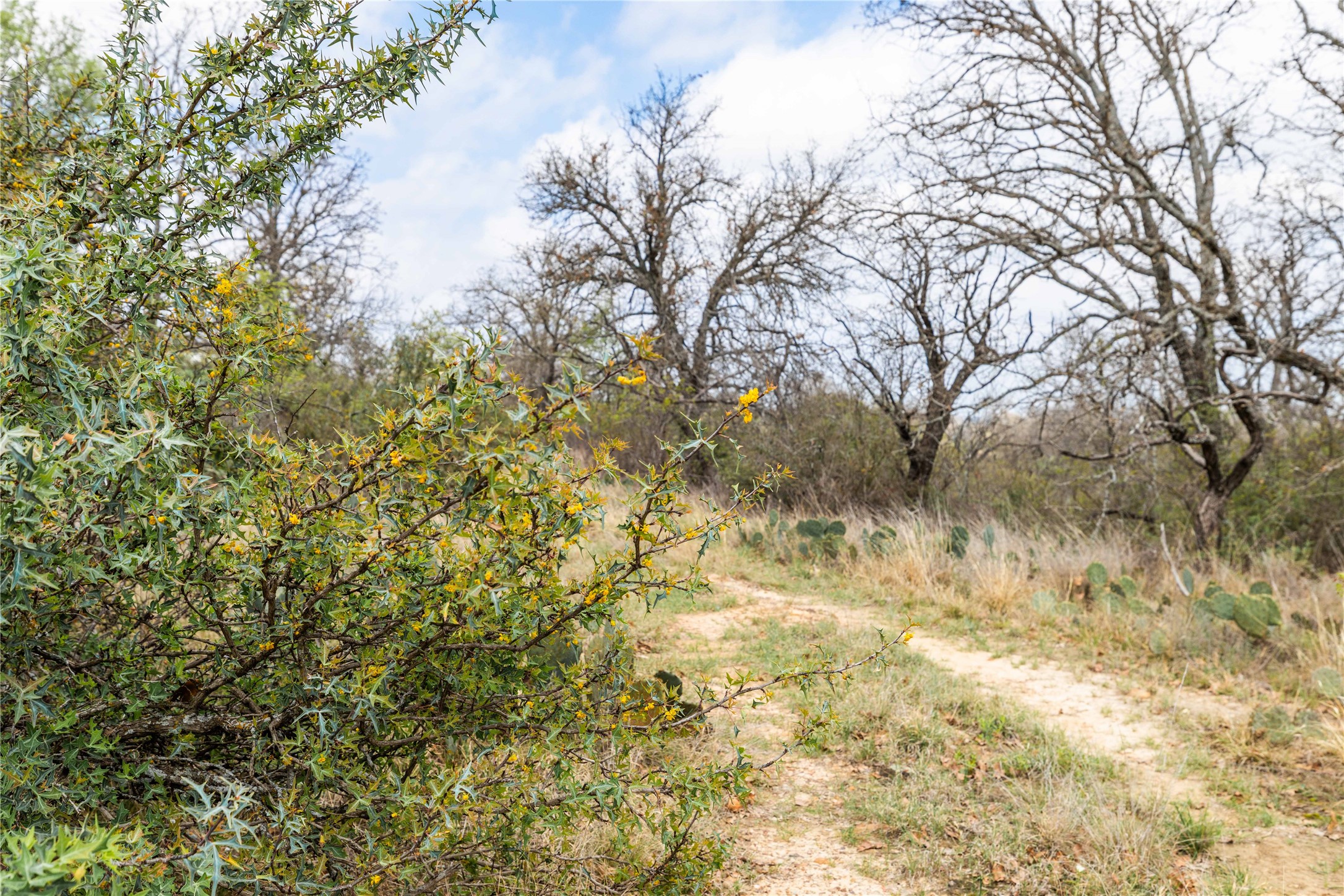 8851 Cr 133 Brownwood TX 76801