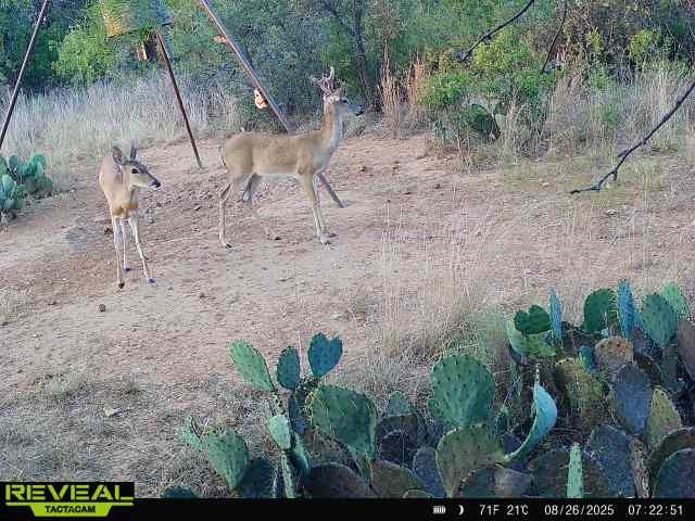 8851 Cr 133 Brownwood TX 76801