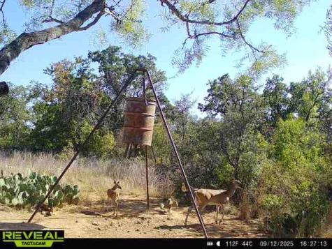 8851 Cr 133 Brownwood TX 76801