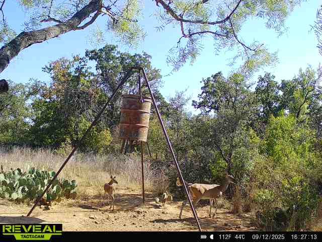 8851 Cr 133 Brownwood TX 76801