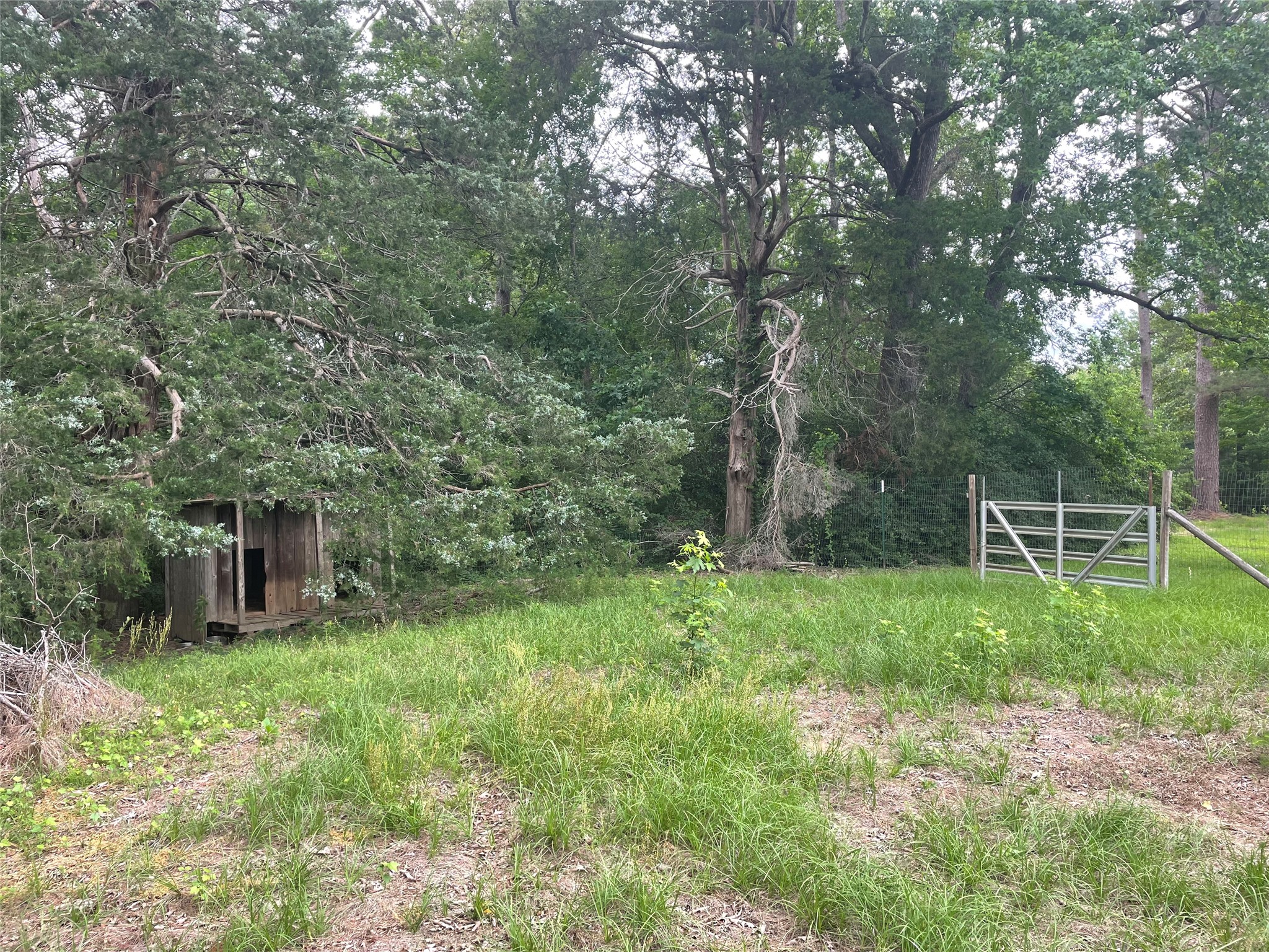 14450 Highway 84 Highway Logansport LA 71049