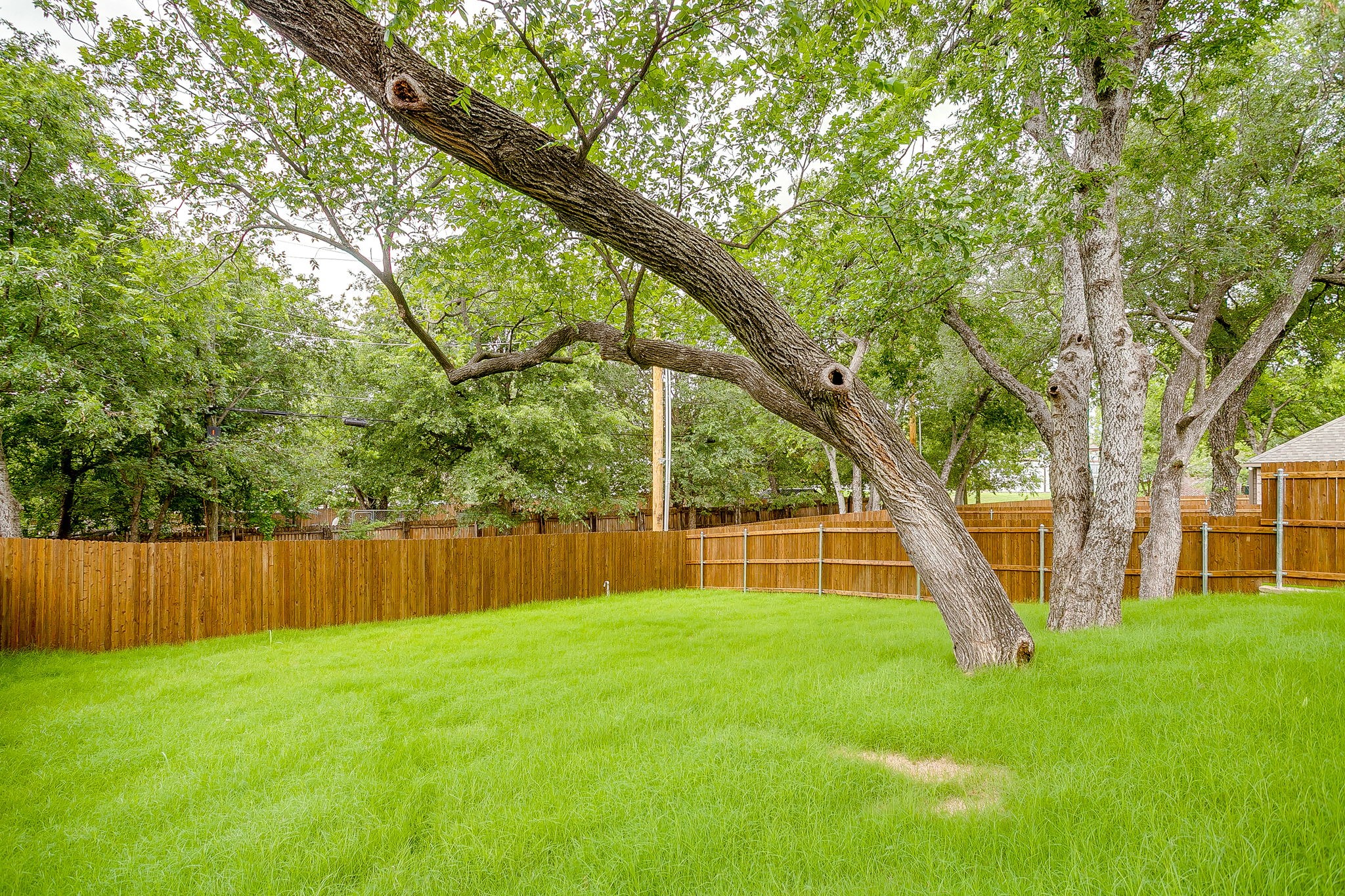 3219 NW 25th Street Fort Worth TX 76106