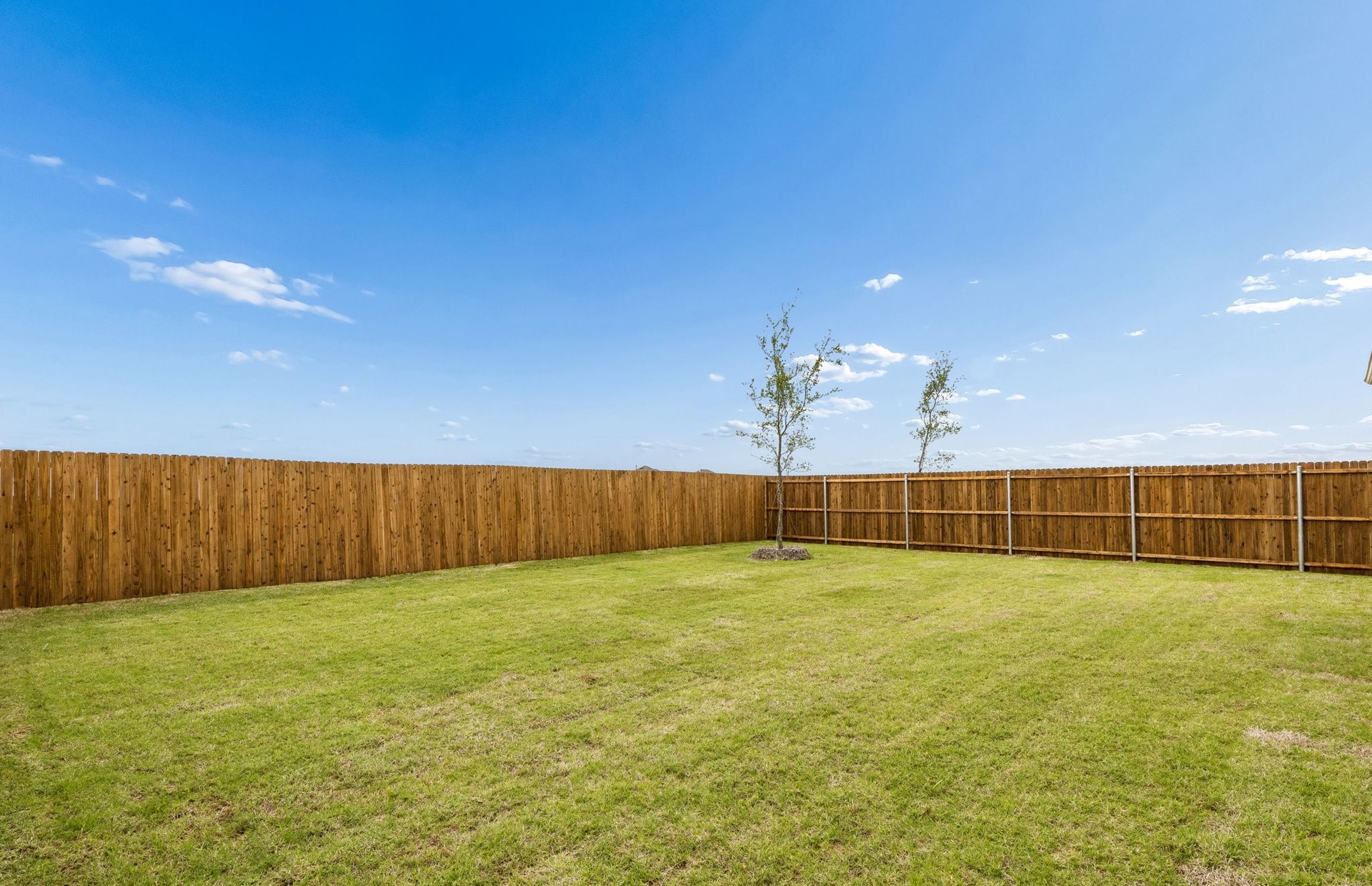 1209 Verbena Street Princeton TX 75407
