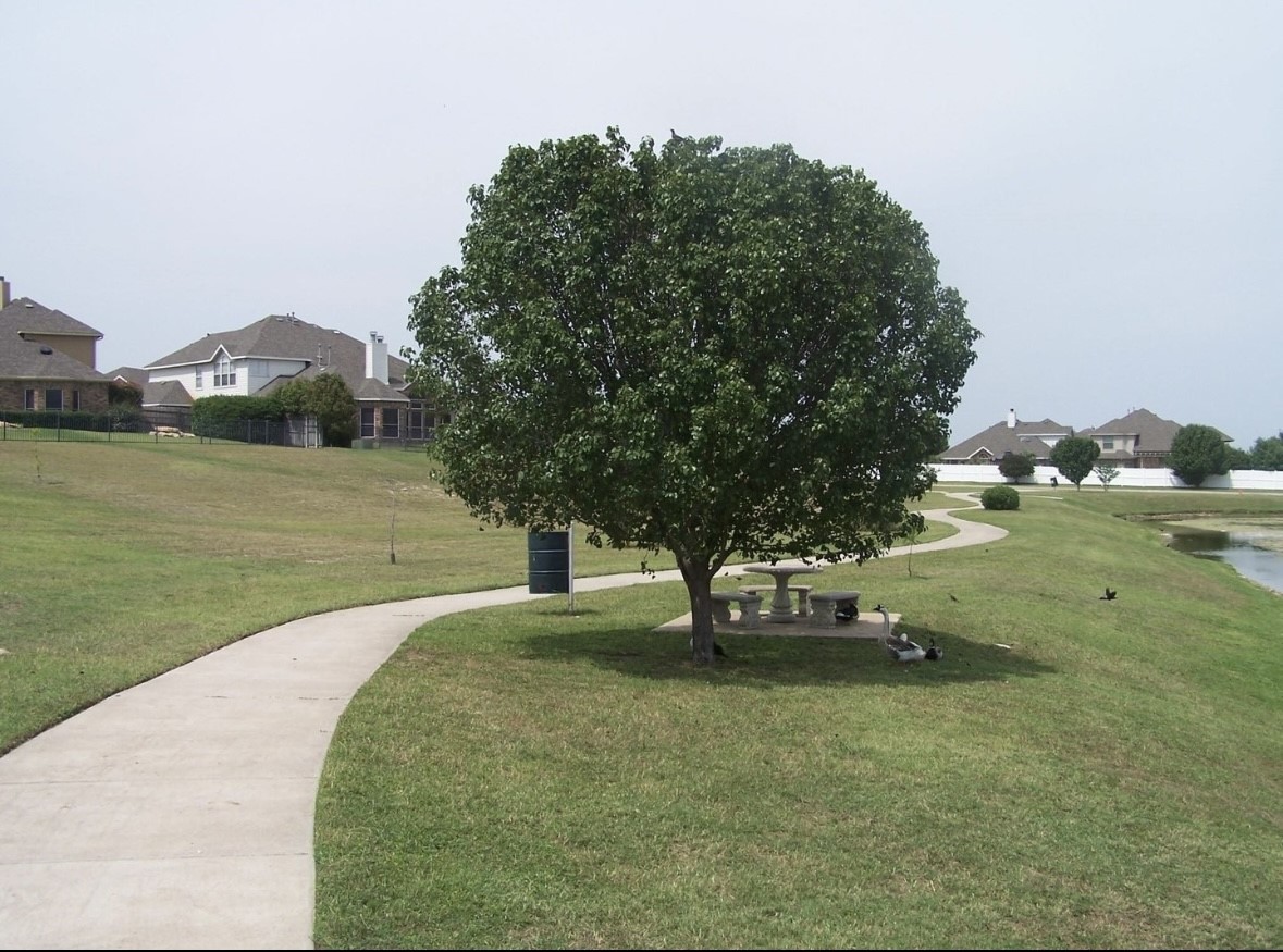 3401 Muleshoe Lane Fort Worth TX 76179