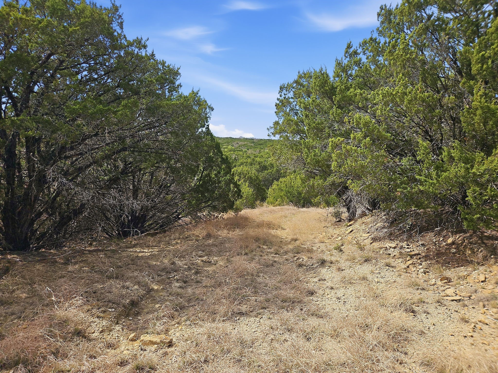 880 County Road 158 Evant TX 76525