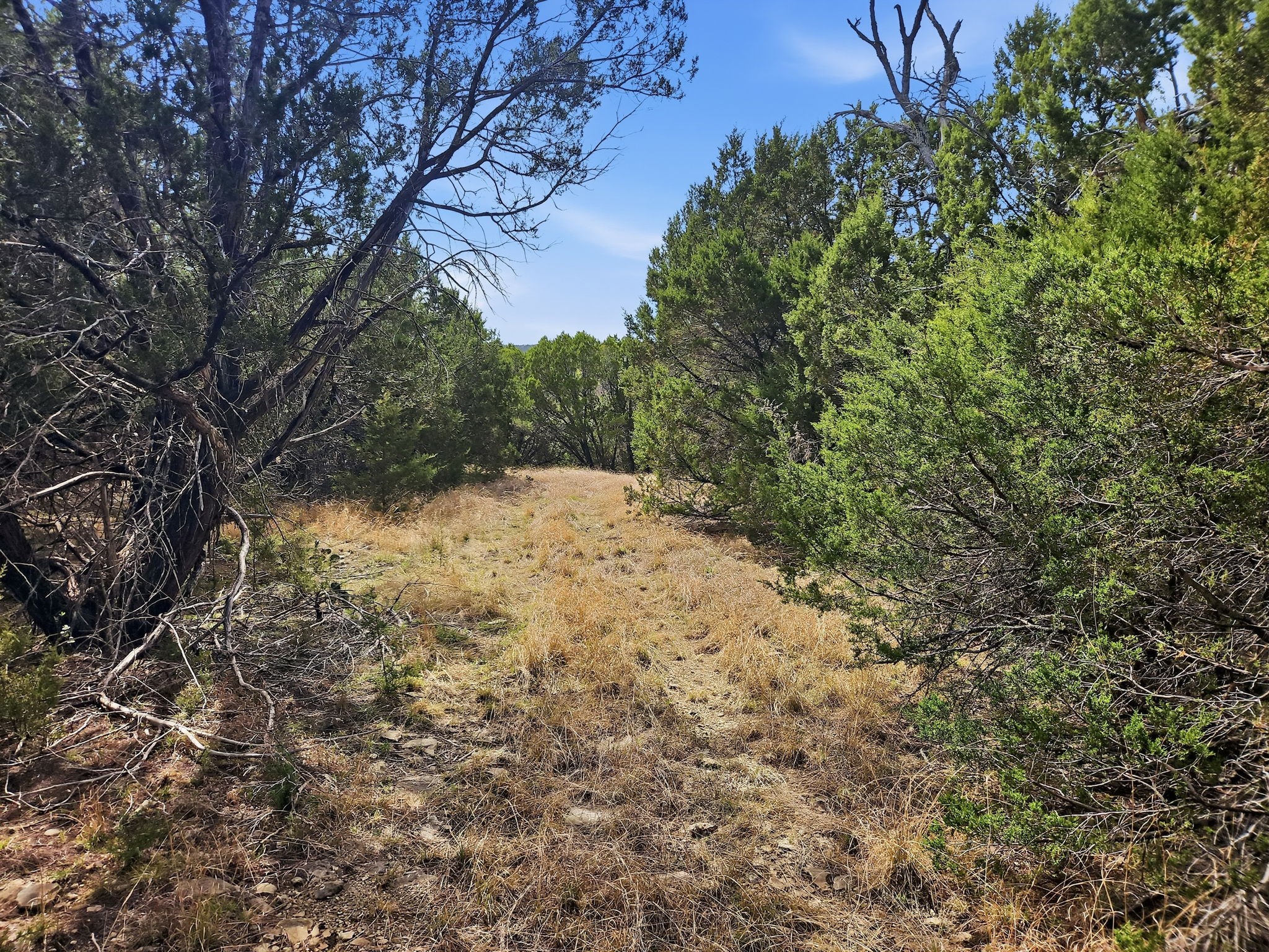 880 County Road 158 Evant TX 76525