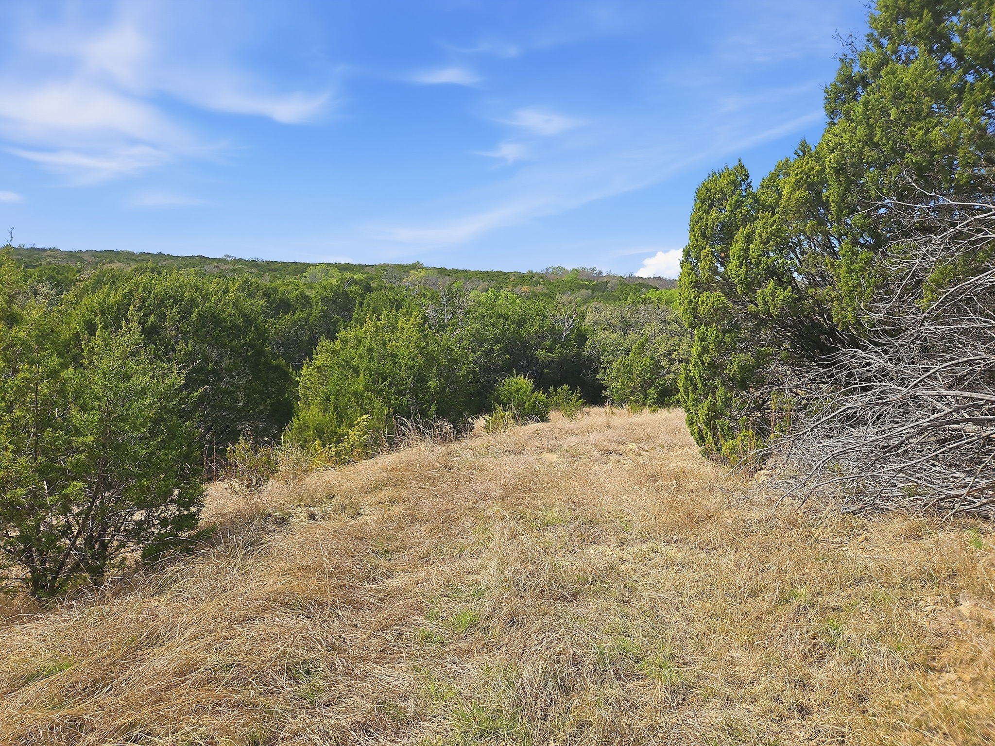 880 County Road 158 Evant TX 76525