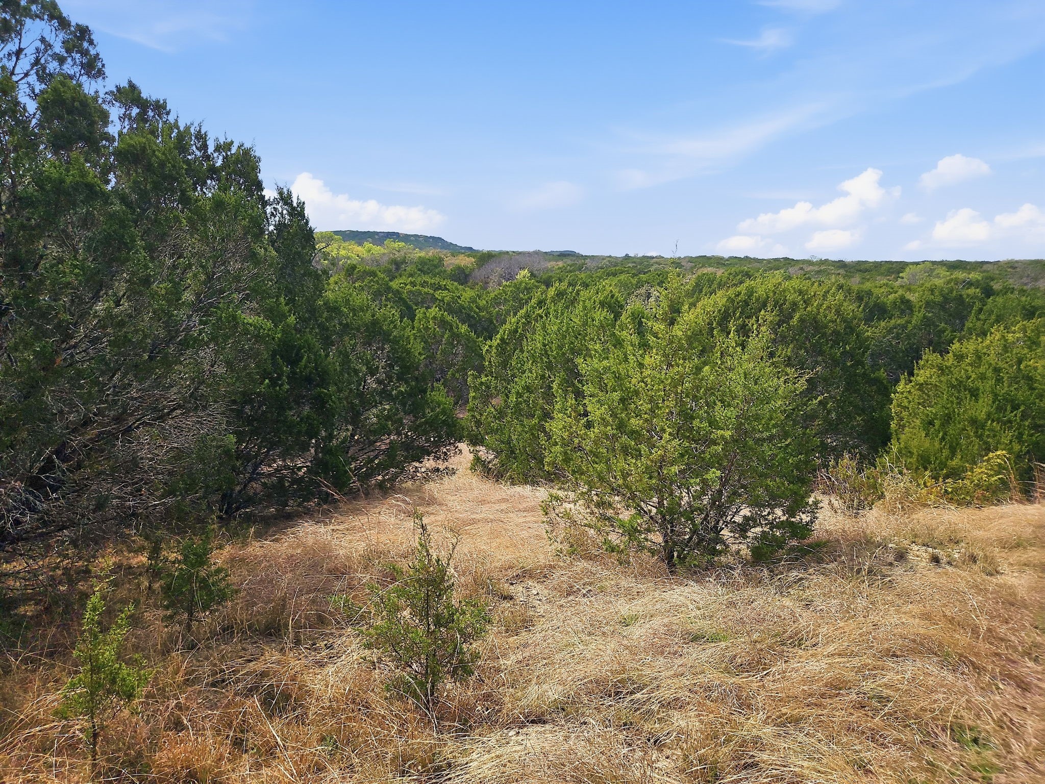 880 County Road 158 Evant TX 76525