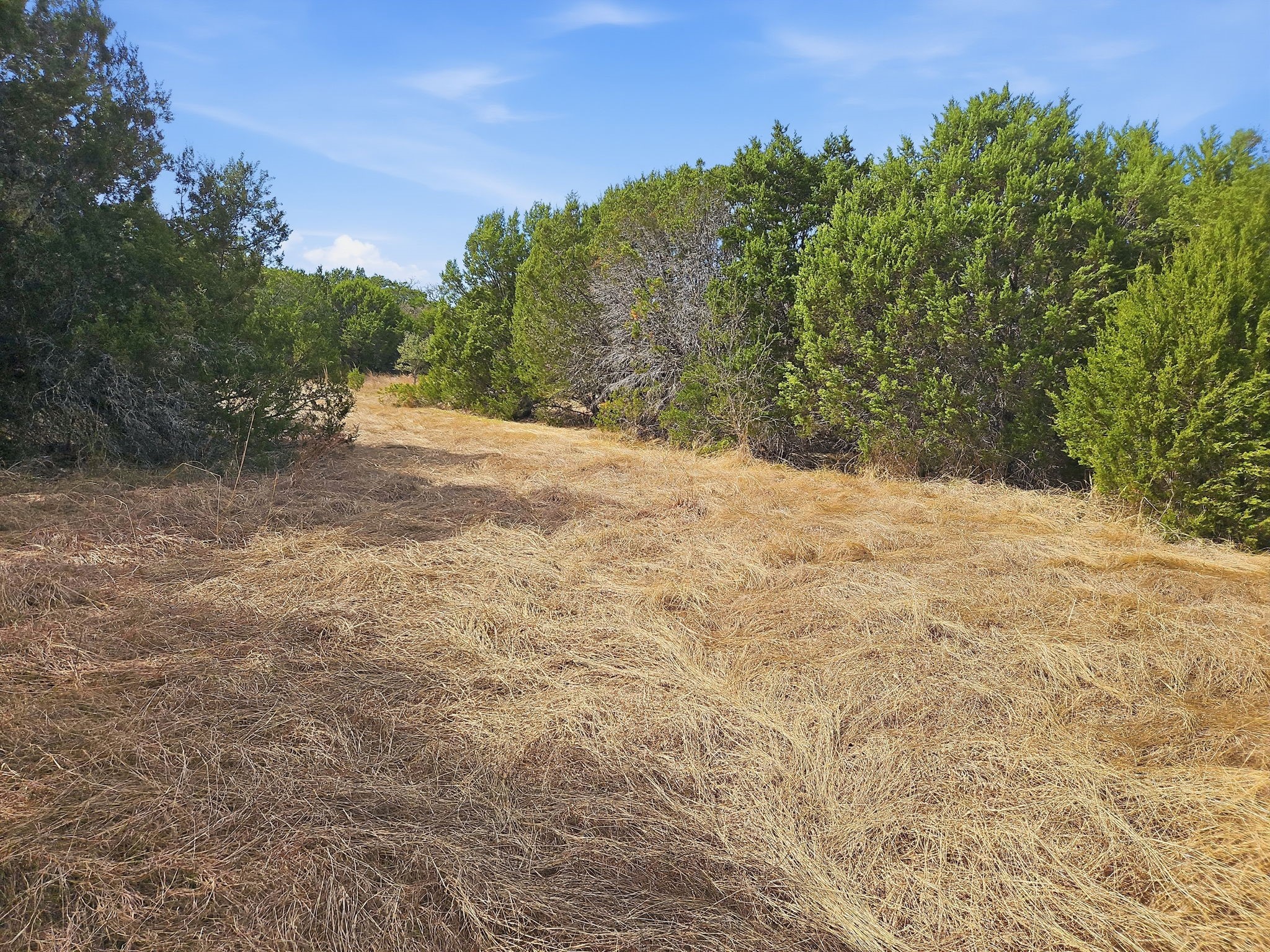 880 County Road 158 Evant TX 76525