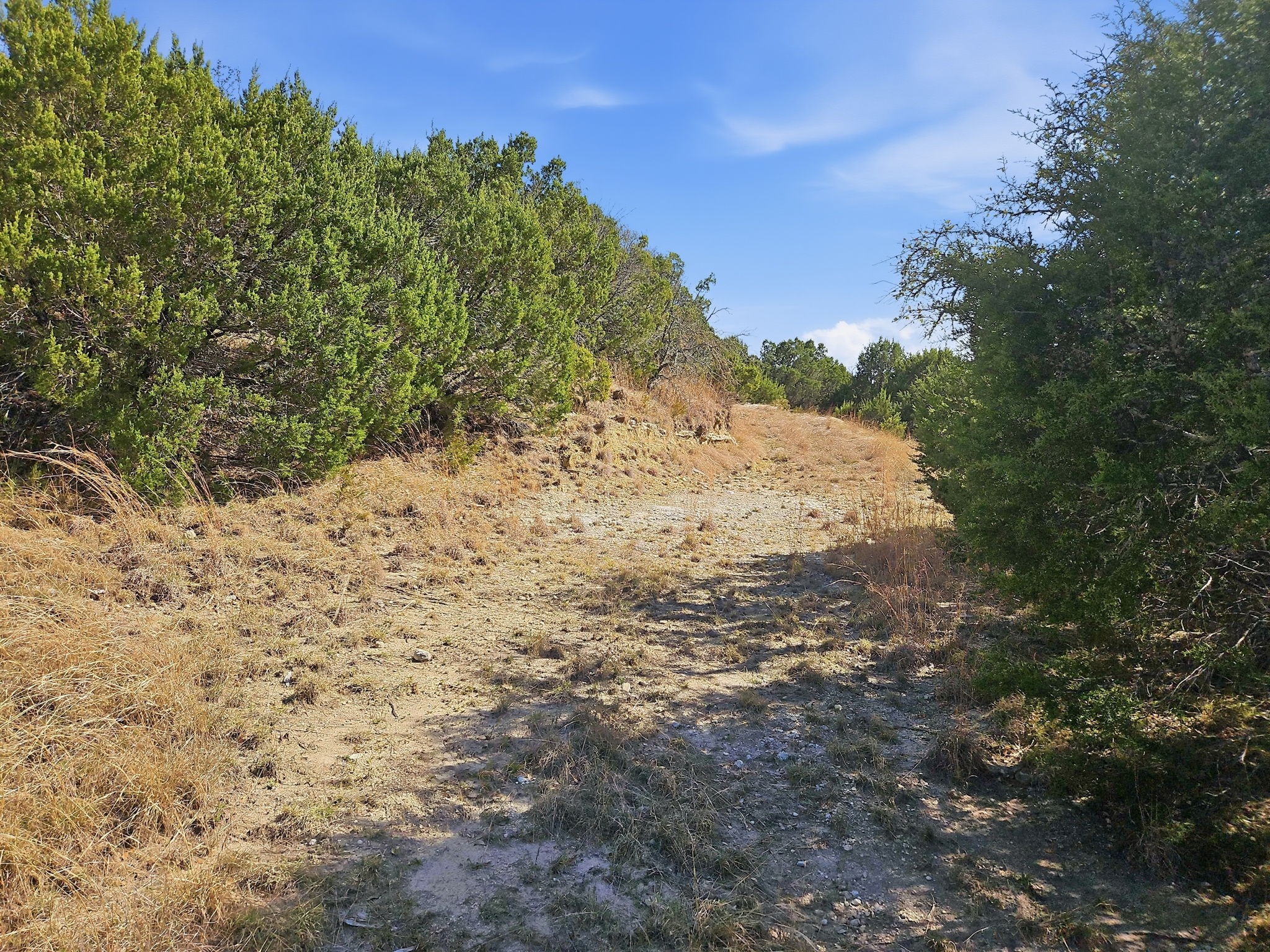 880 County Road 158 Evant TX 76525