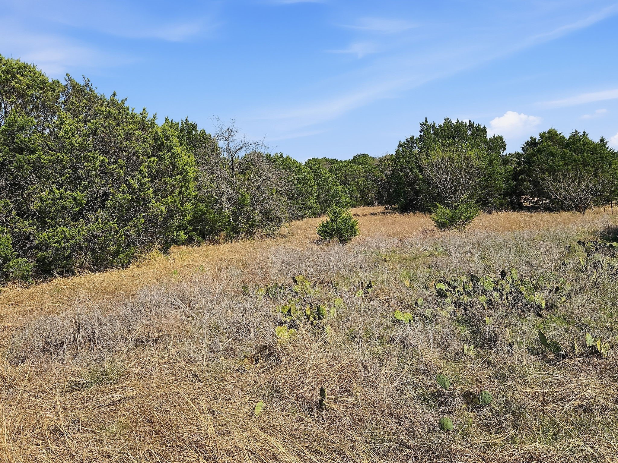 880 County Road 158 Evant TX 76525