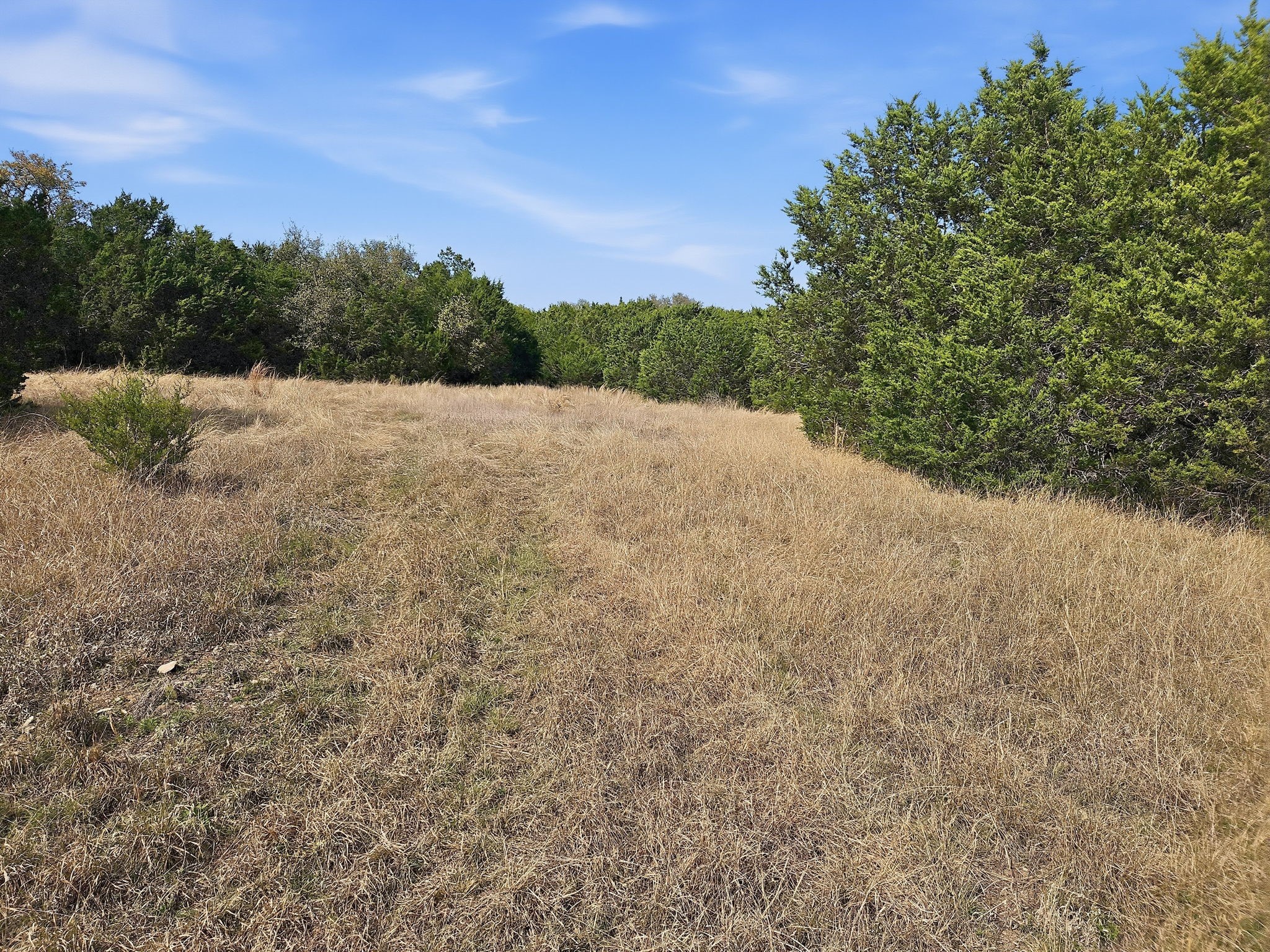 880 County Road 158 Evant TX 76525