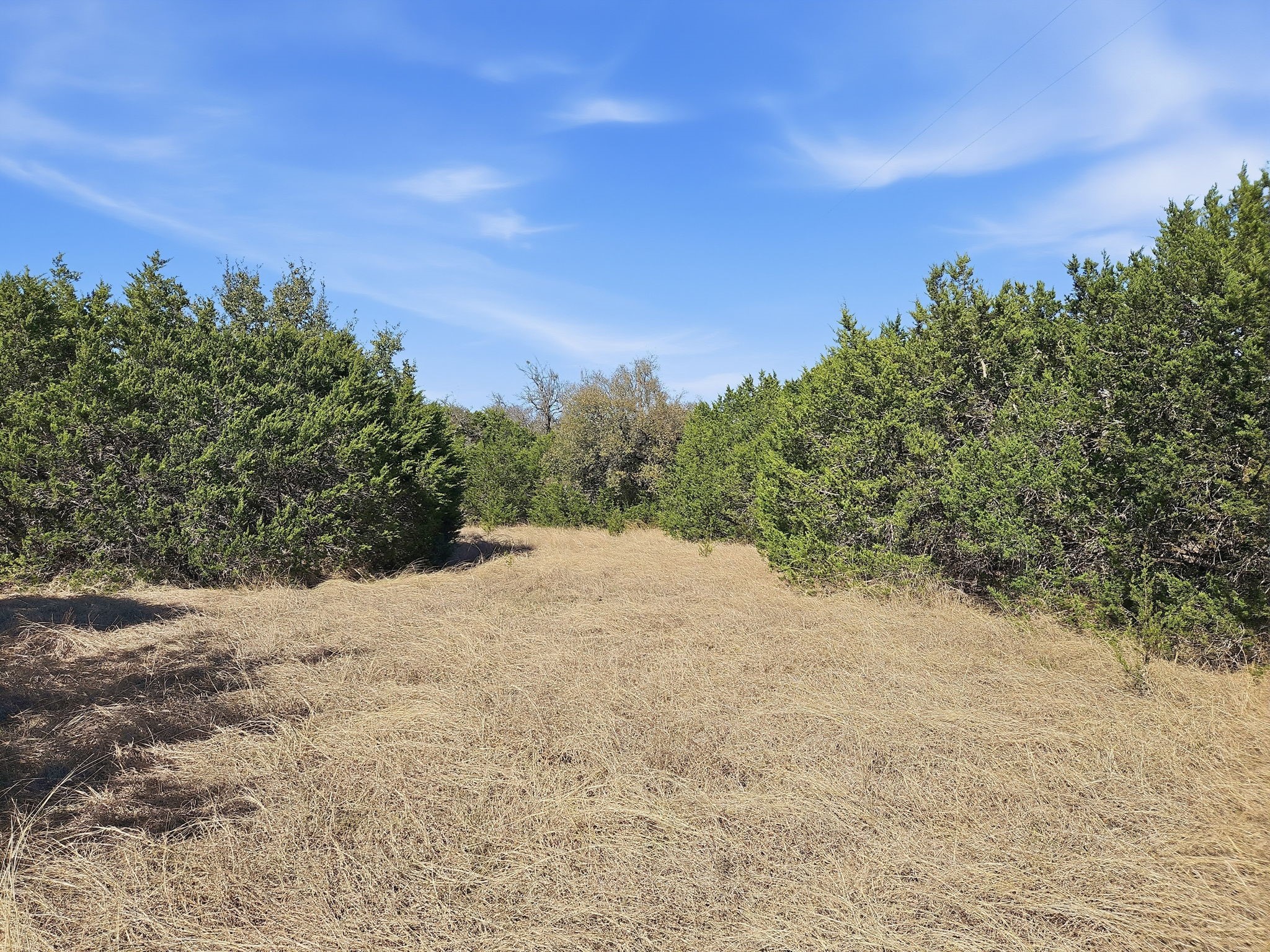 880 County Road 158 Evant TX 76525