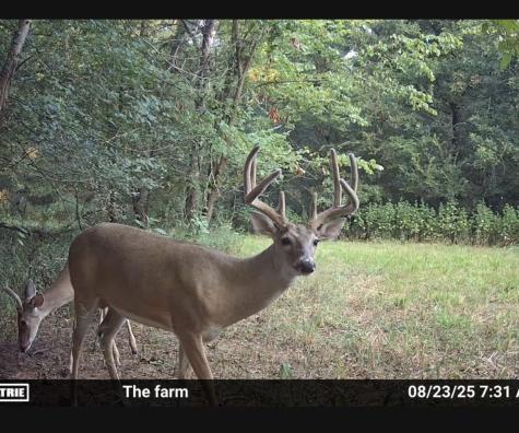 1751 Vz County Road 1925 Edgewood TX 75117