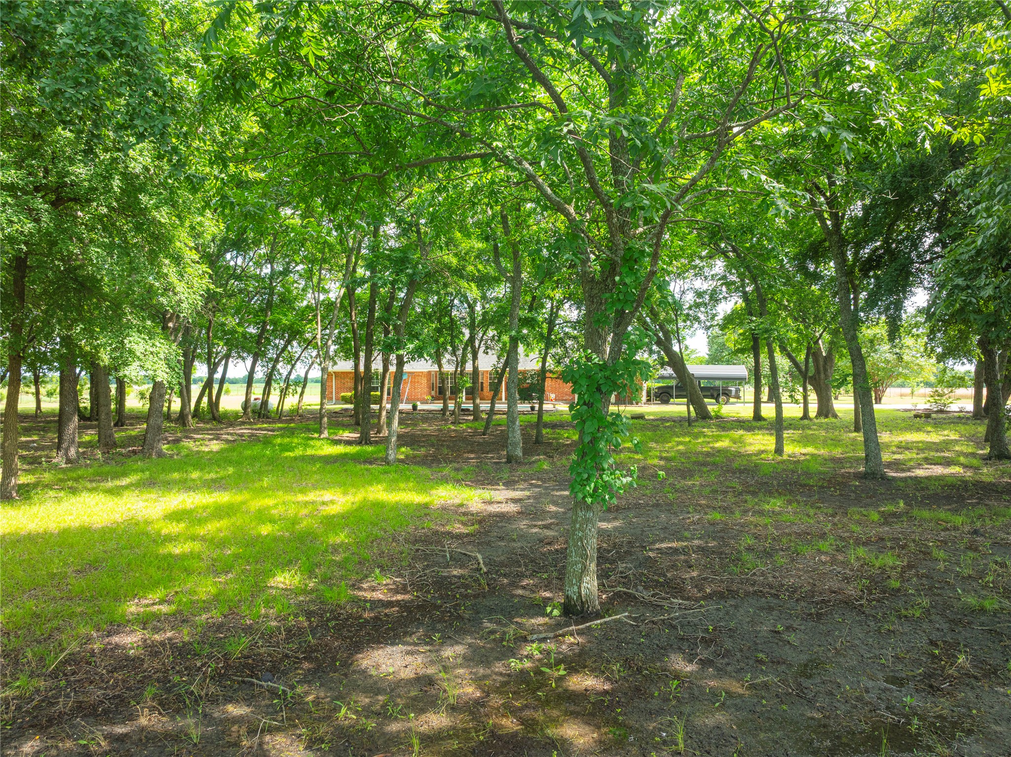 462 County Road 3335 Ladonia TX 75449
