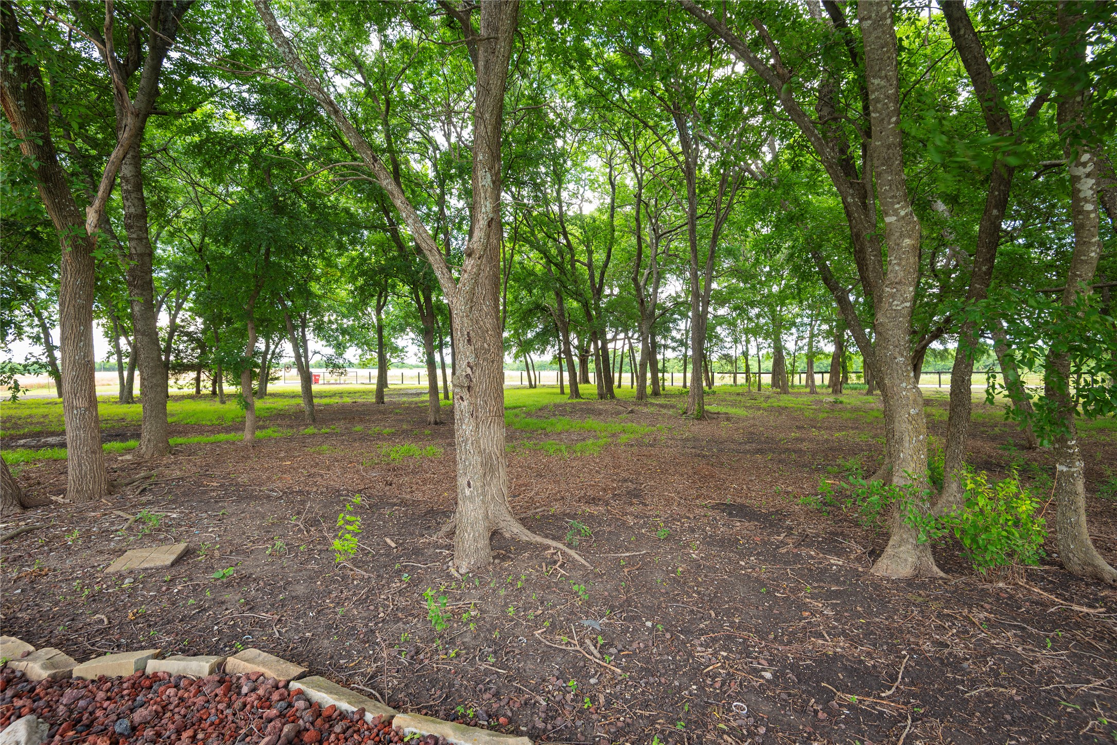462 County Road 3335 Ladonia TX 75449