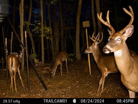 1132 County Road 4470 Winnsboro TX 75494
