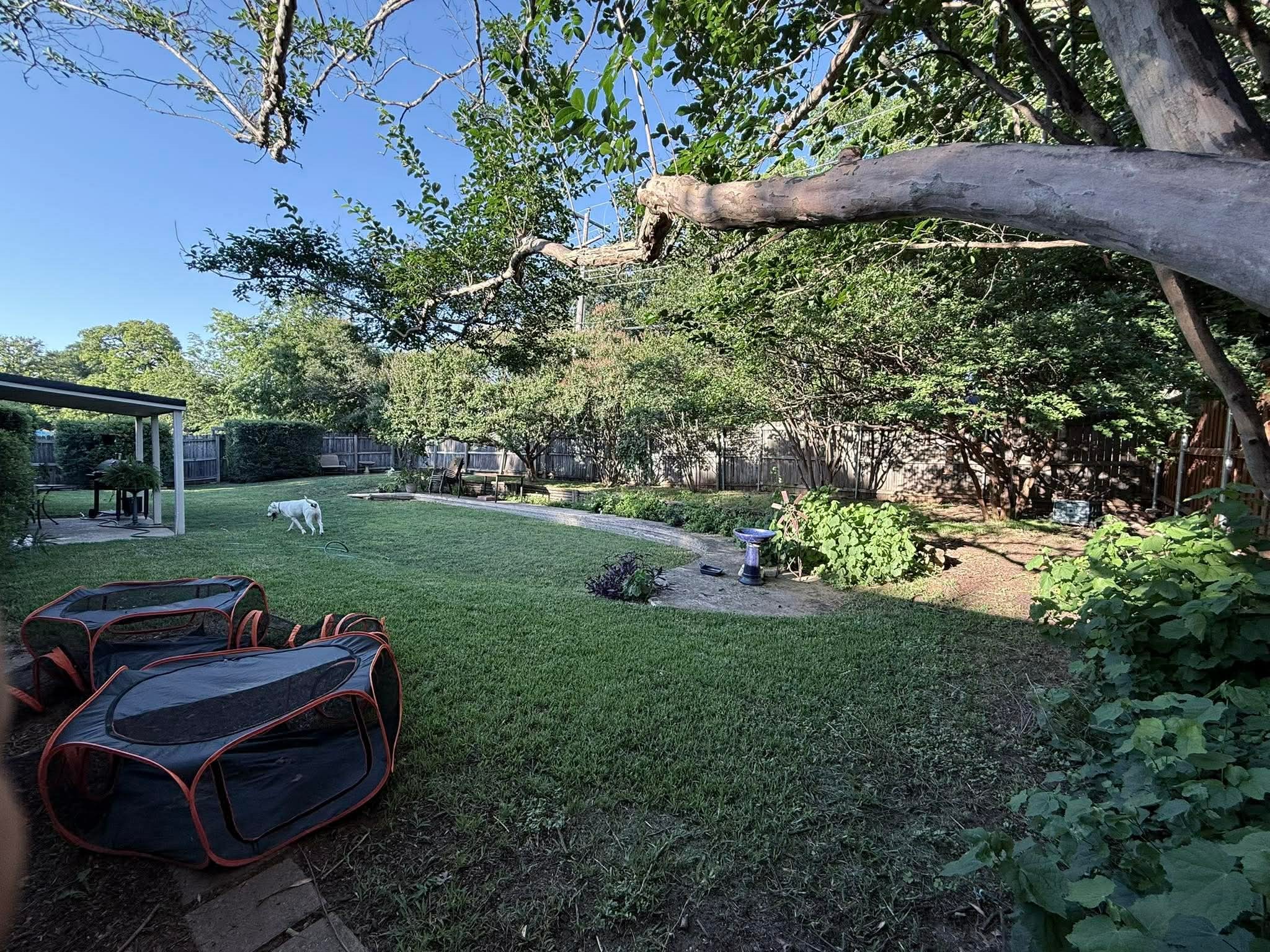 2317 Smokerise Drive Arlington TX 76016