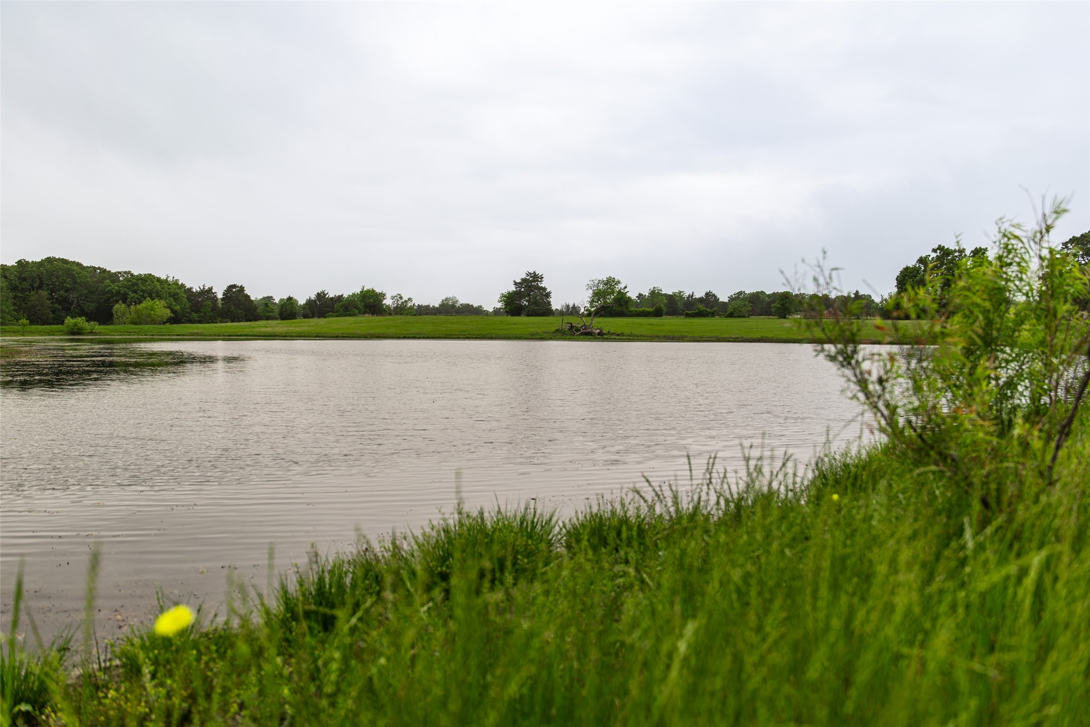 5531 NE County Road 3130 Kerens TX 75144