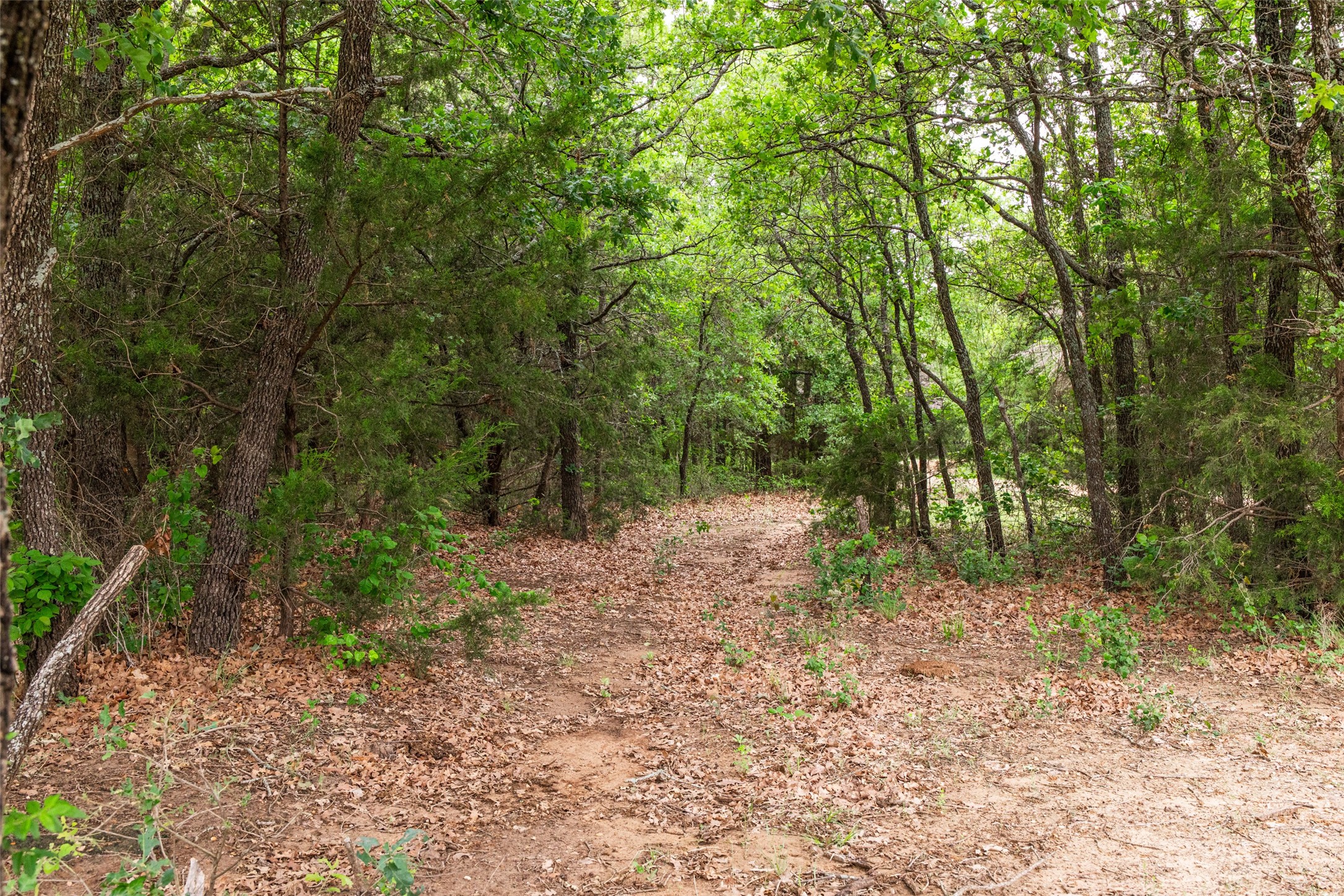 5531 NE County Road 3130 Kerens TX 75144