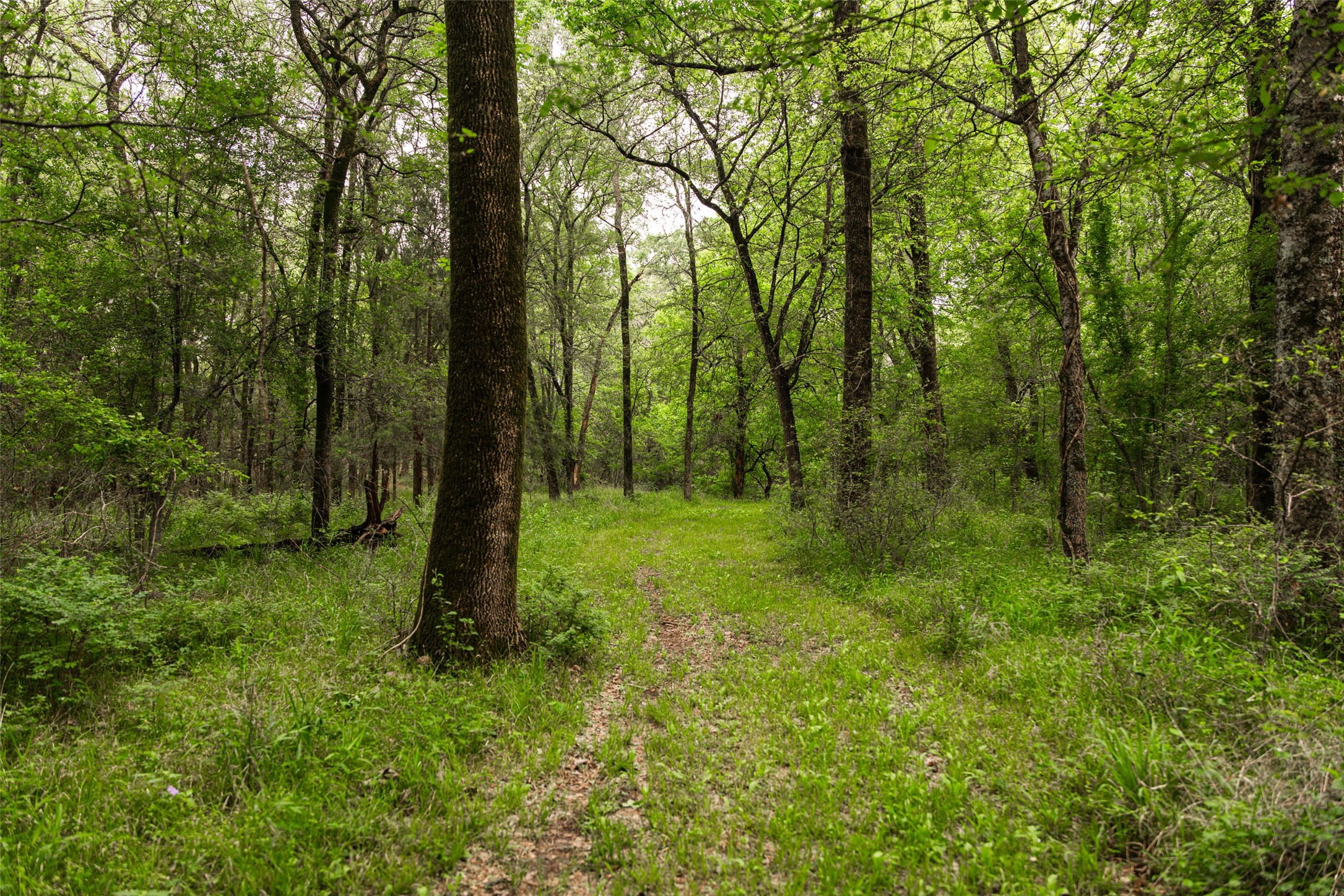 5531 NE County Road 3130 Kerens TX 75144