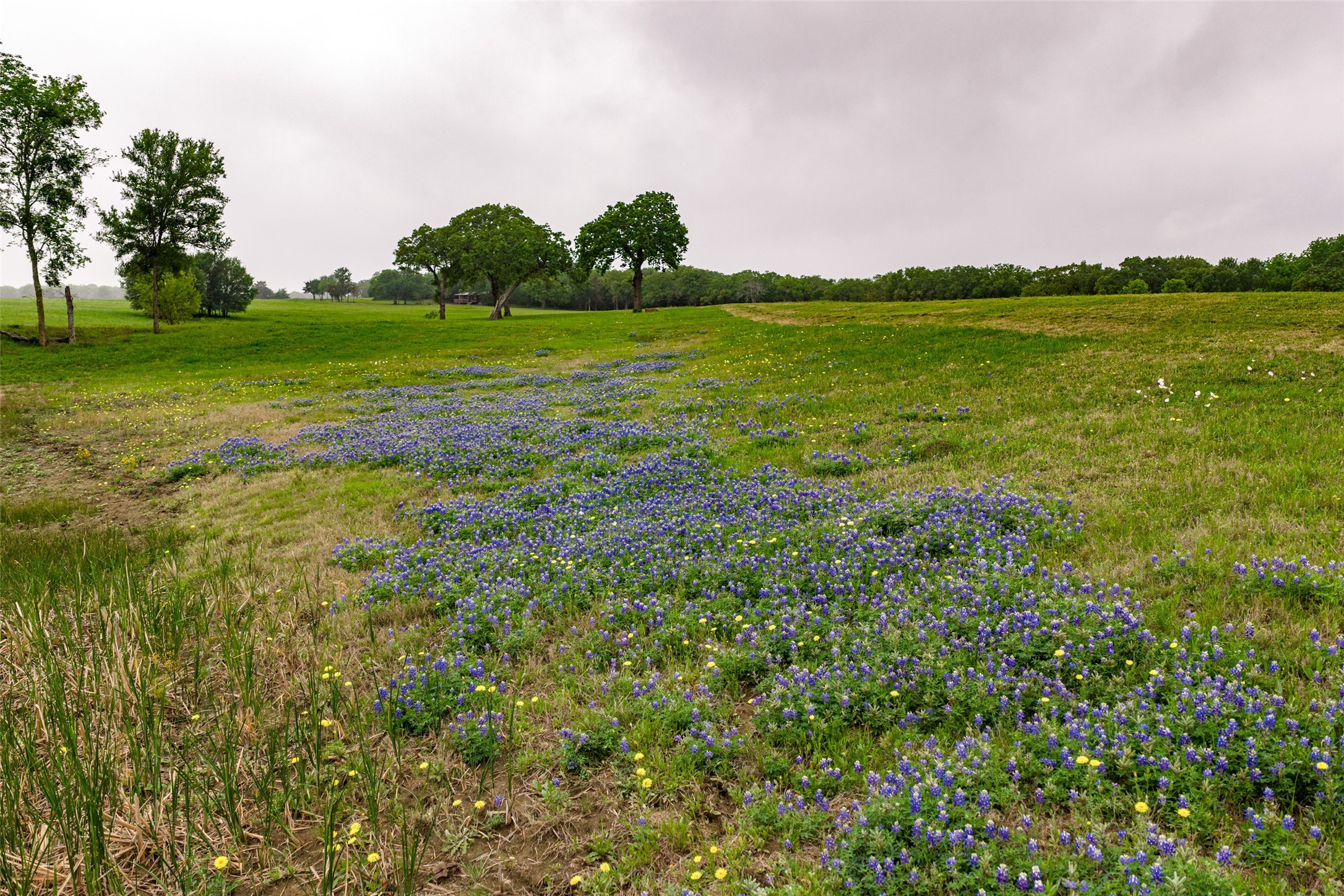 5531 NE County Road 3130 Kerens TX 75144