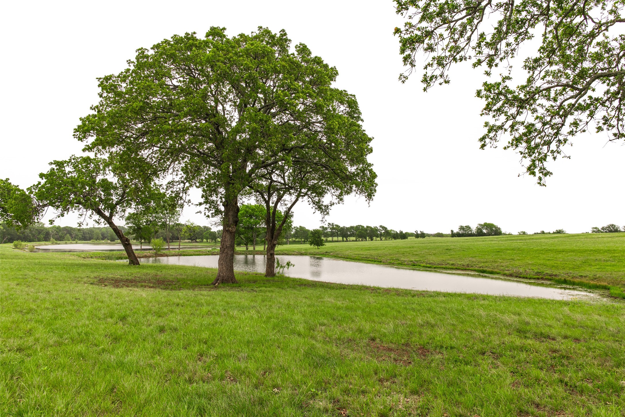 5531 NE County Road 3130 Kerens TX 75144