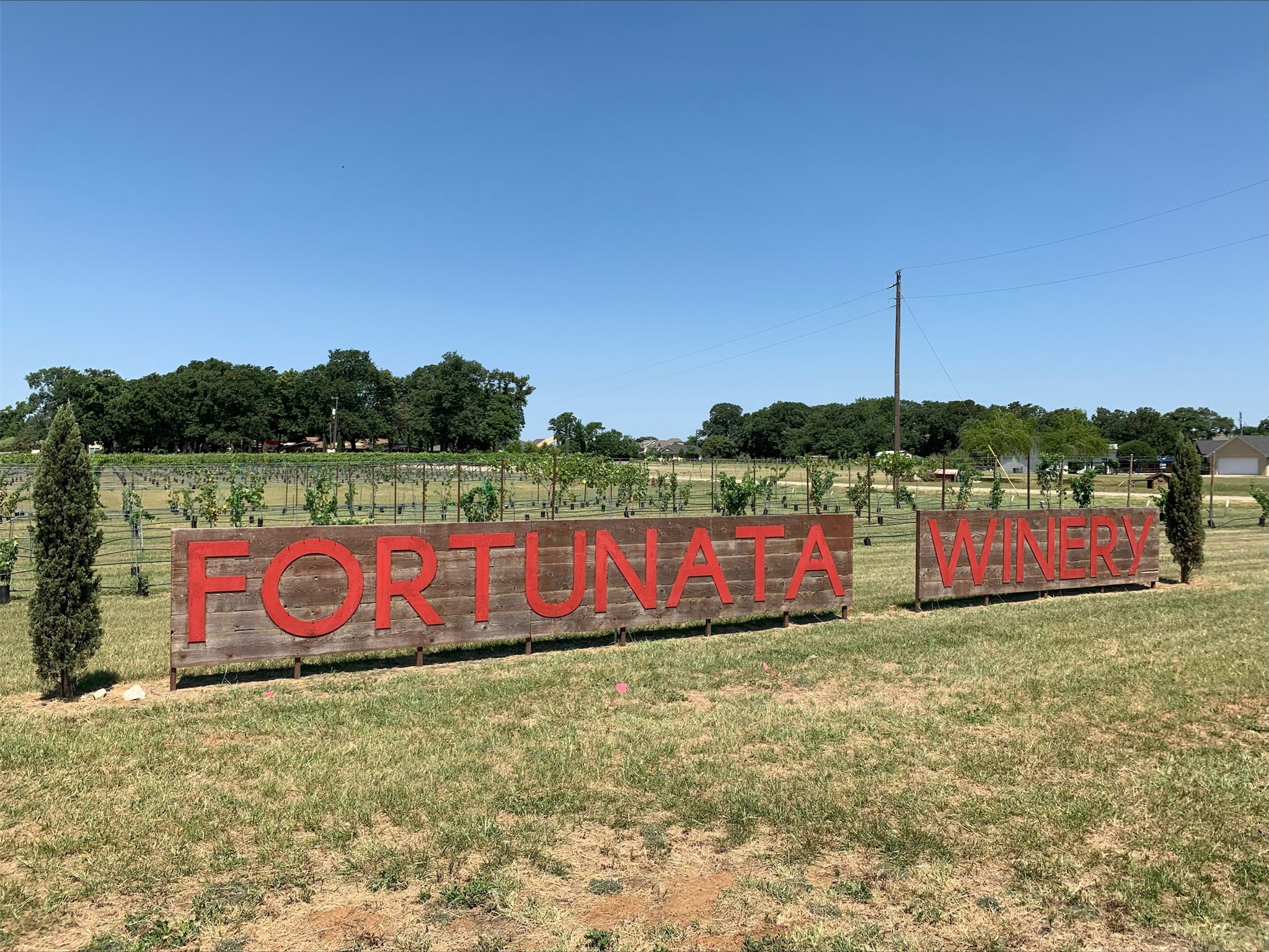 14064 Kempt Drive Pilot Point TX 76258