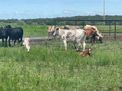 4565 County Road 140 Stephenville TX 76401