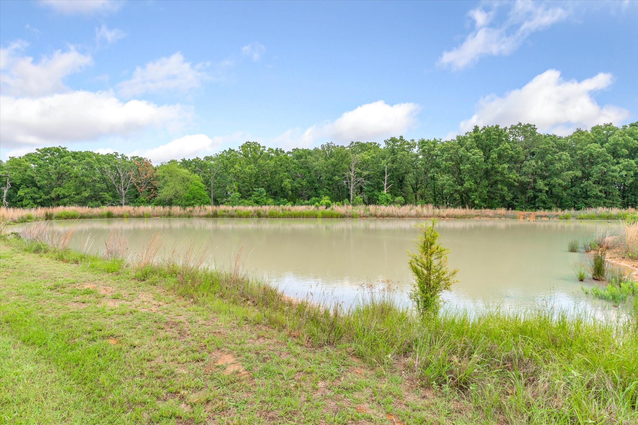 863 Vz County Road 1815 Grand Saline TX 75140