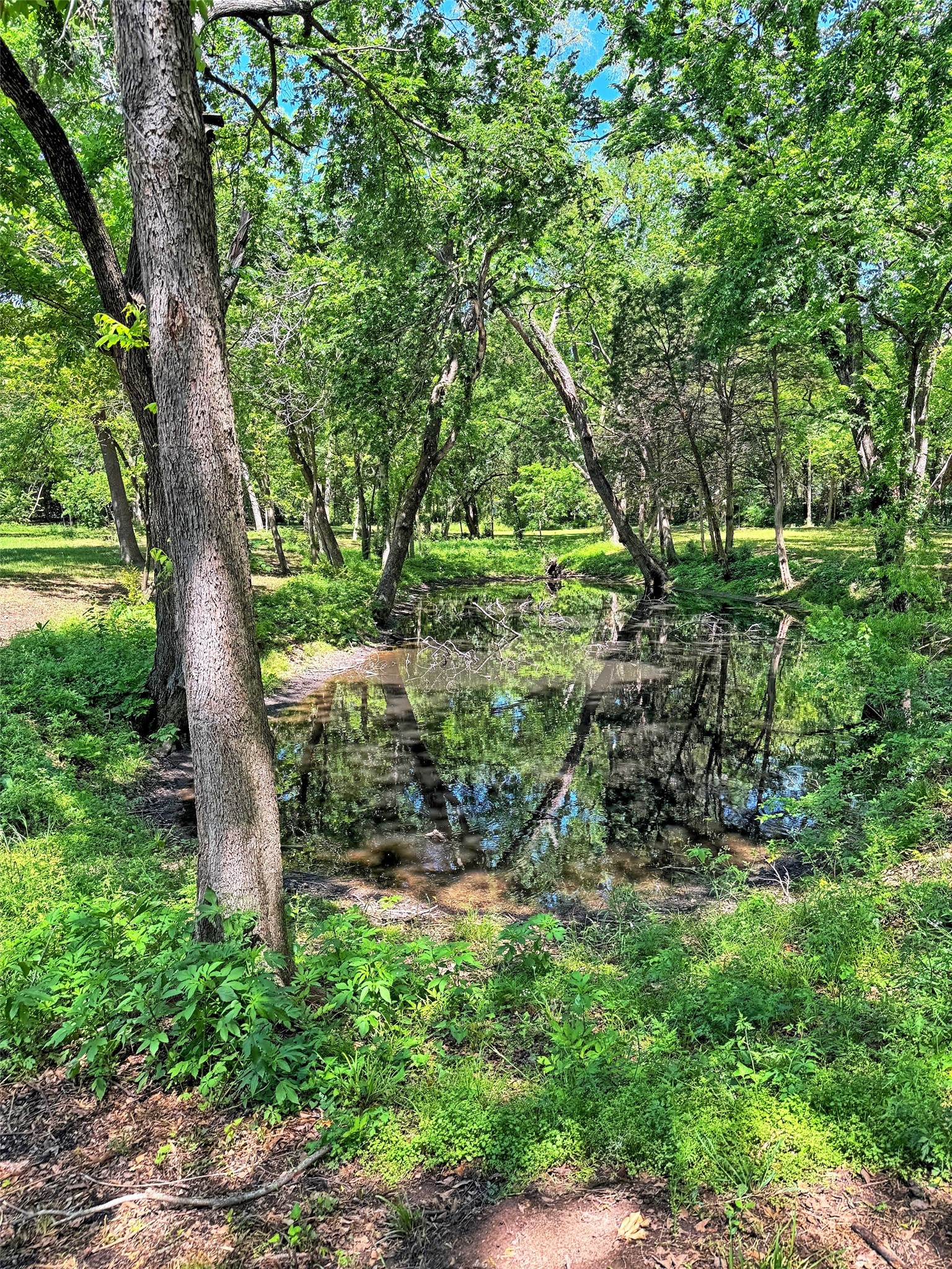 406 Griffith Avenue Terrell TX 75160