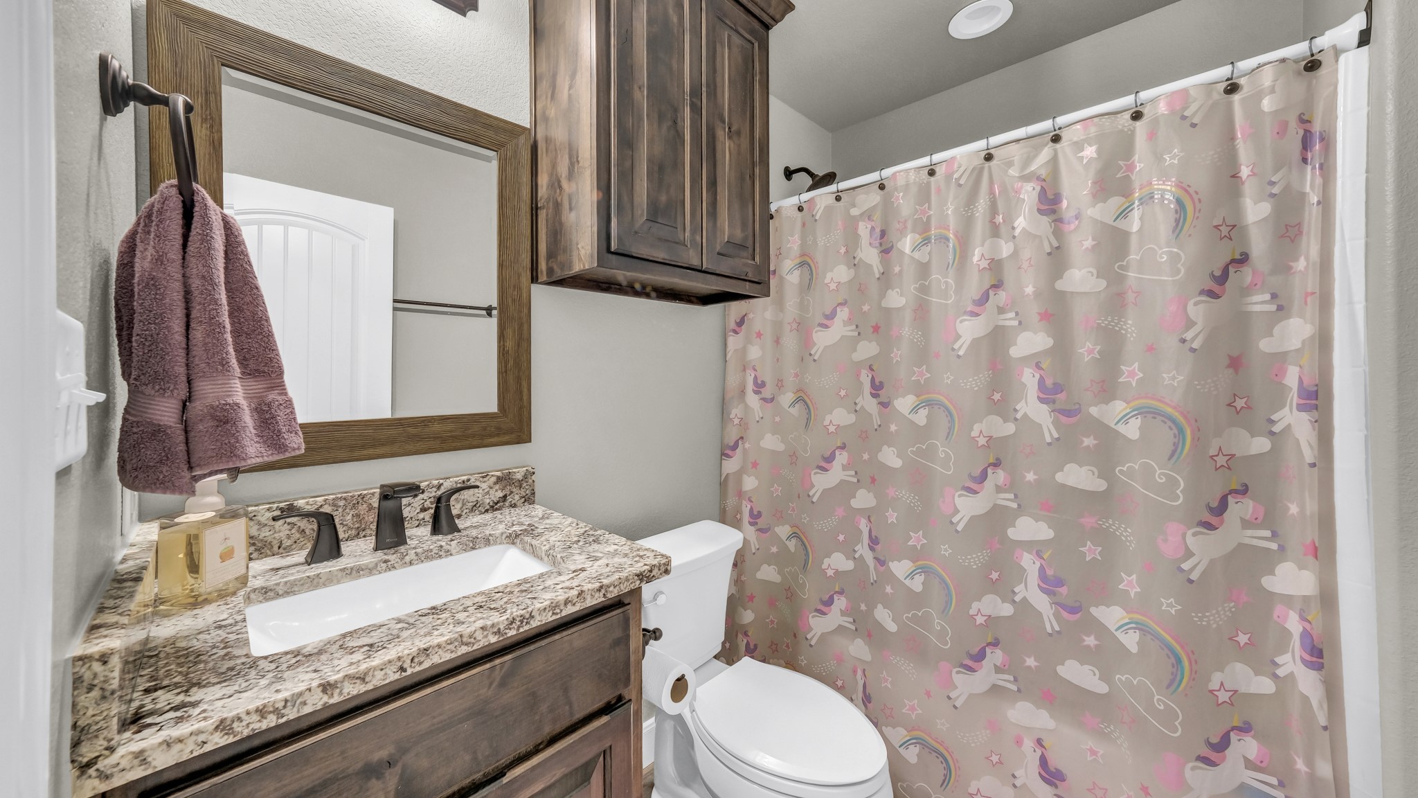 2806 San Gabriel Drive Granbury TX 76048