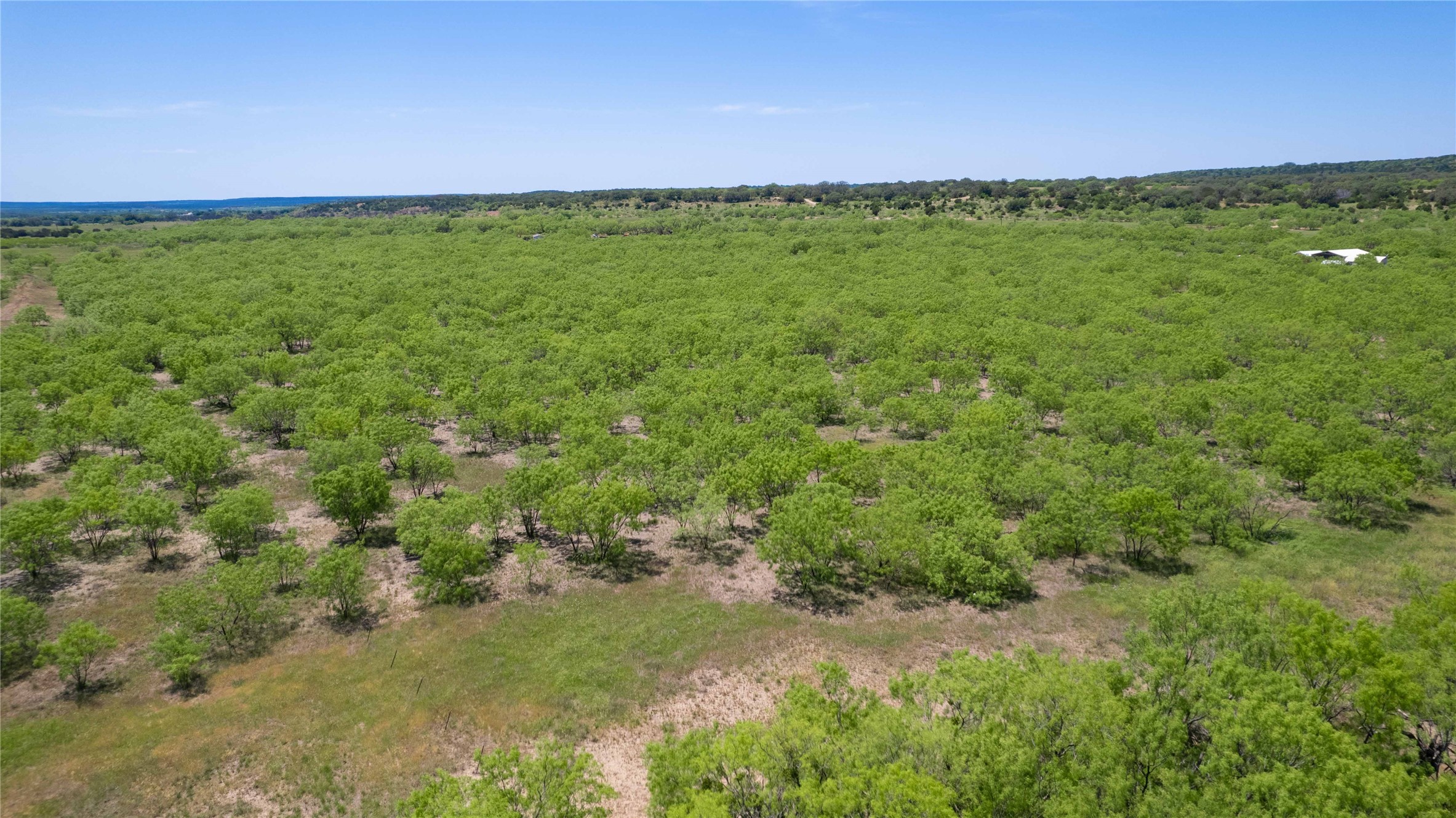 15905 County Road 211 Brookesmith TX 76827