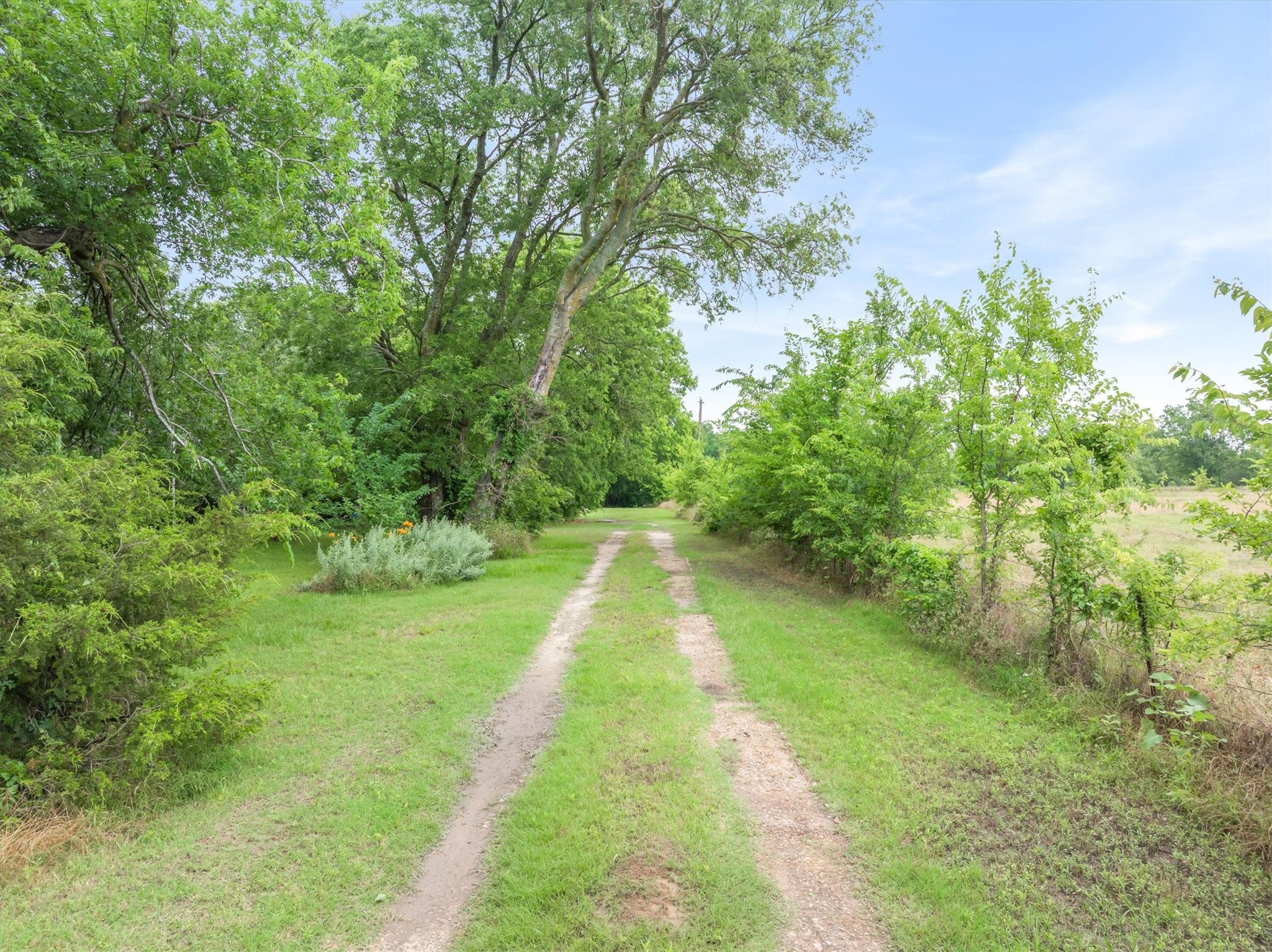 540 Vz County Road 3724 Wills Point TX 75169