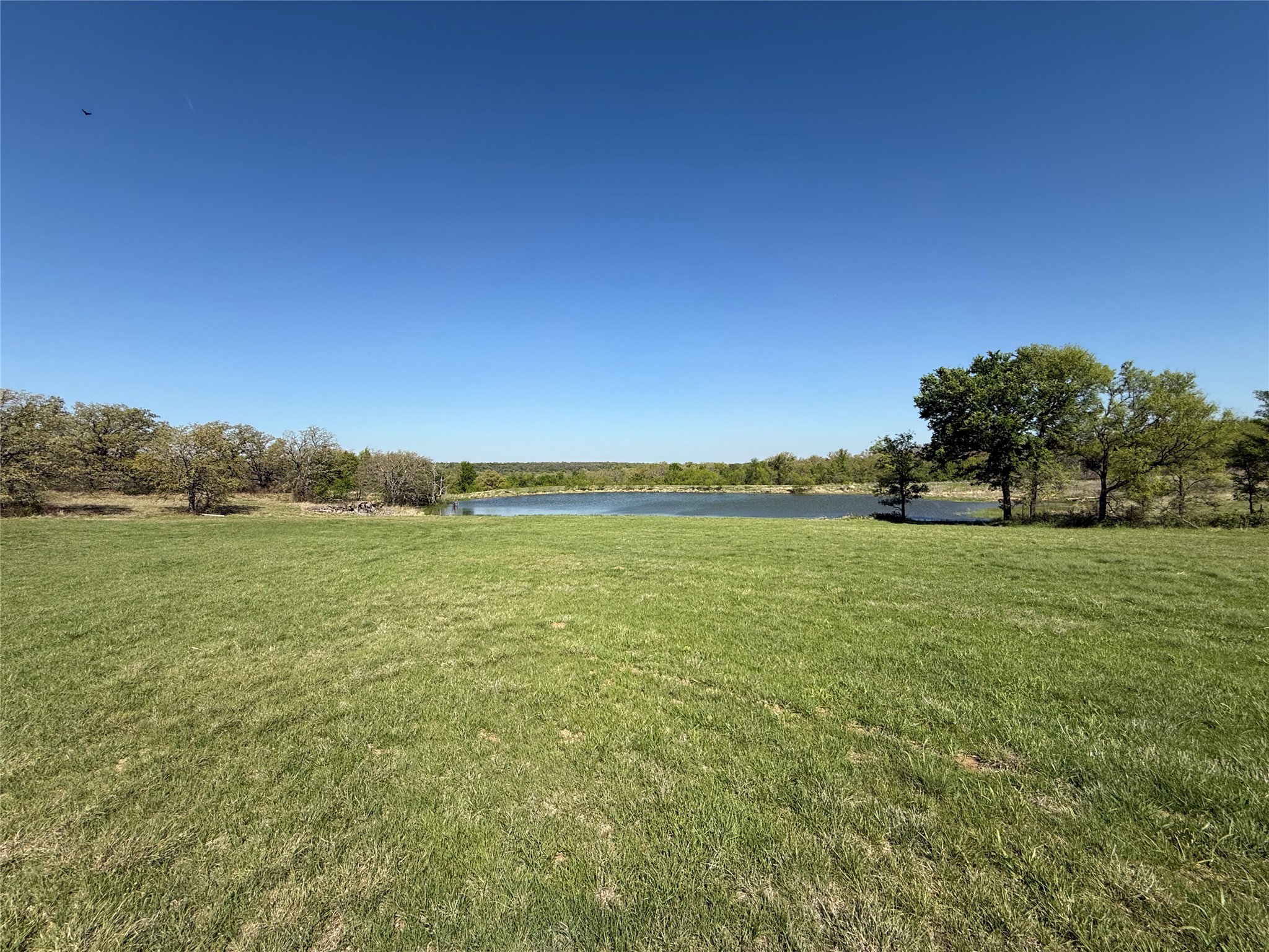 10650 Fm 1156 Jacksboro TX 76458