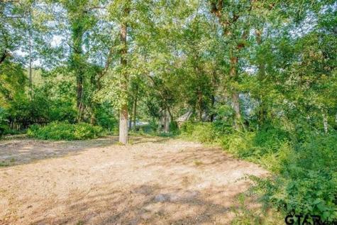 439 N Lone Star Hideaway TX 75771