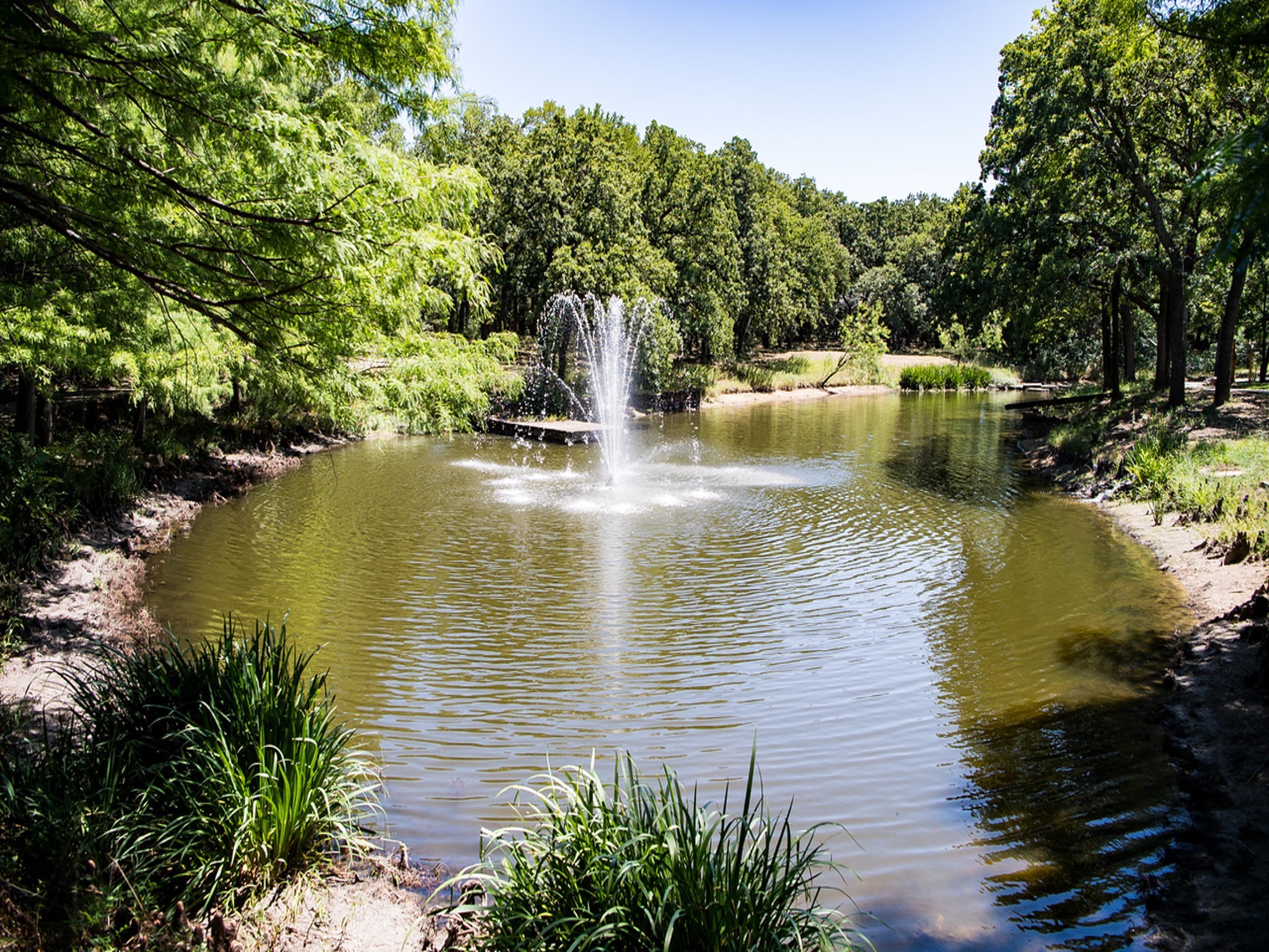 1208 Oak Drive Flower Mound TX 75028