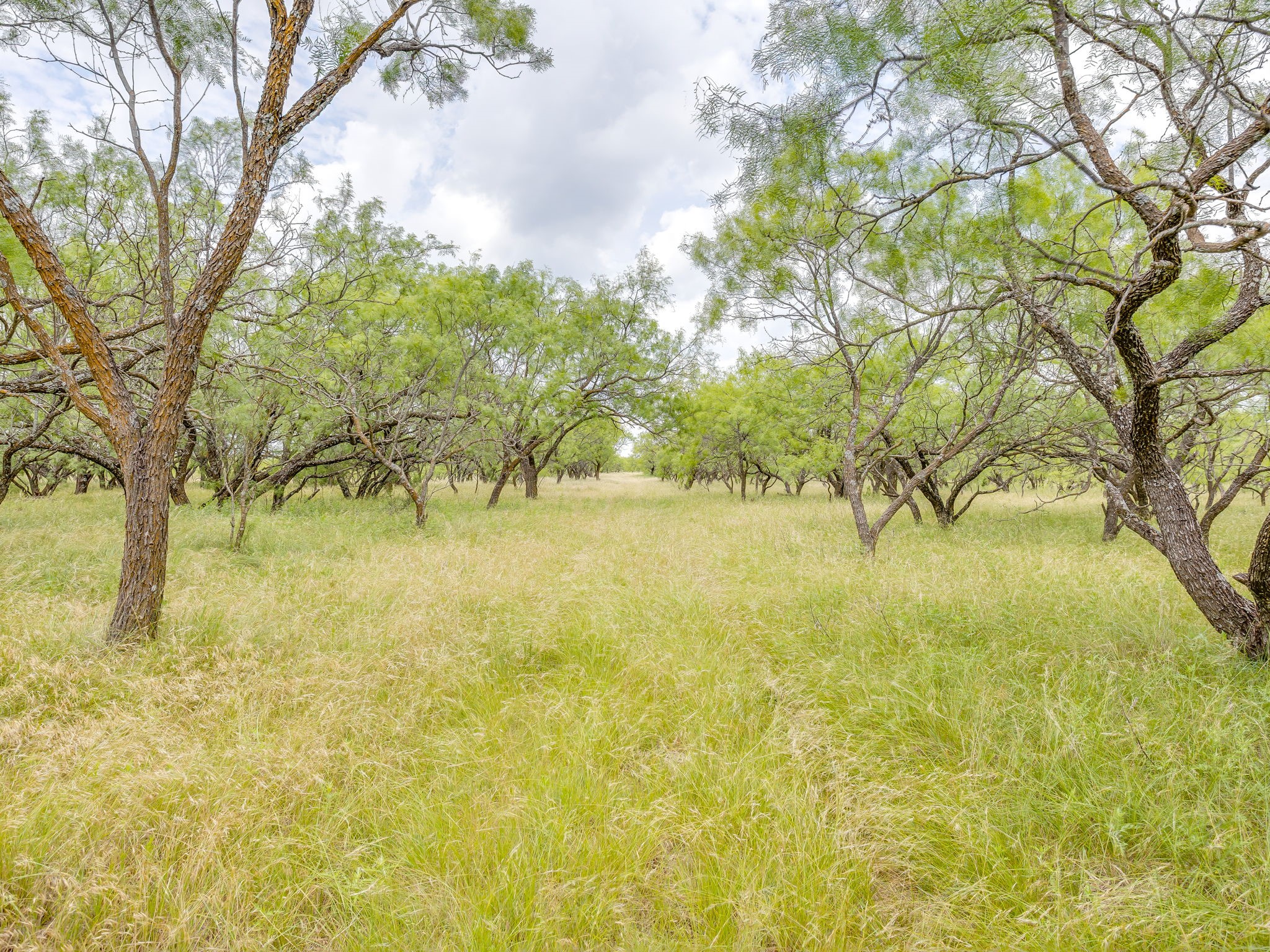 1053 Fm 503 Coleman TX 76834