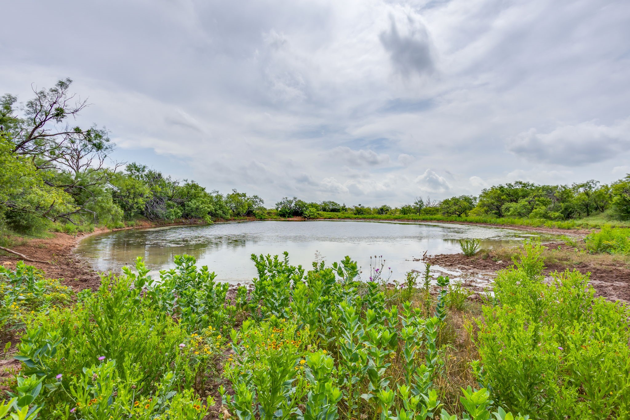 1053 Fm 503 Coleman TX 76834
